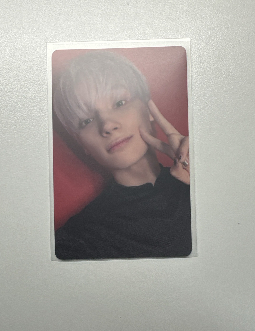 正四上海簽售寧（中背）