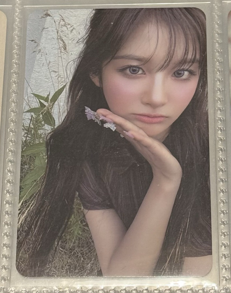 🍞薛侖藍色情人節專卡