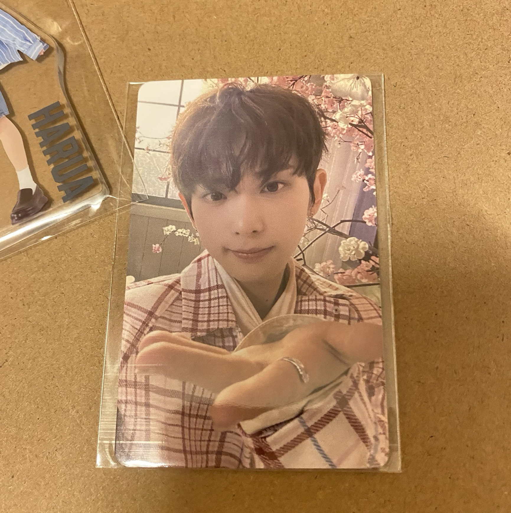 五月雨 WVS 1.0 簽售卡 HARUA