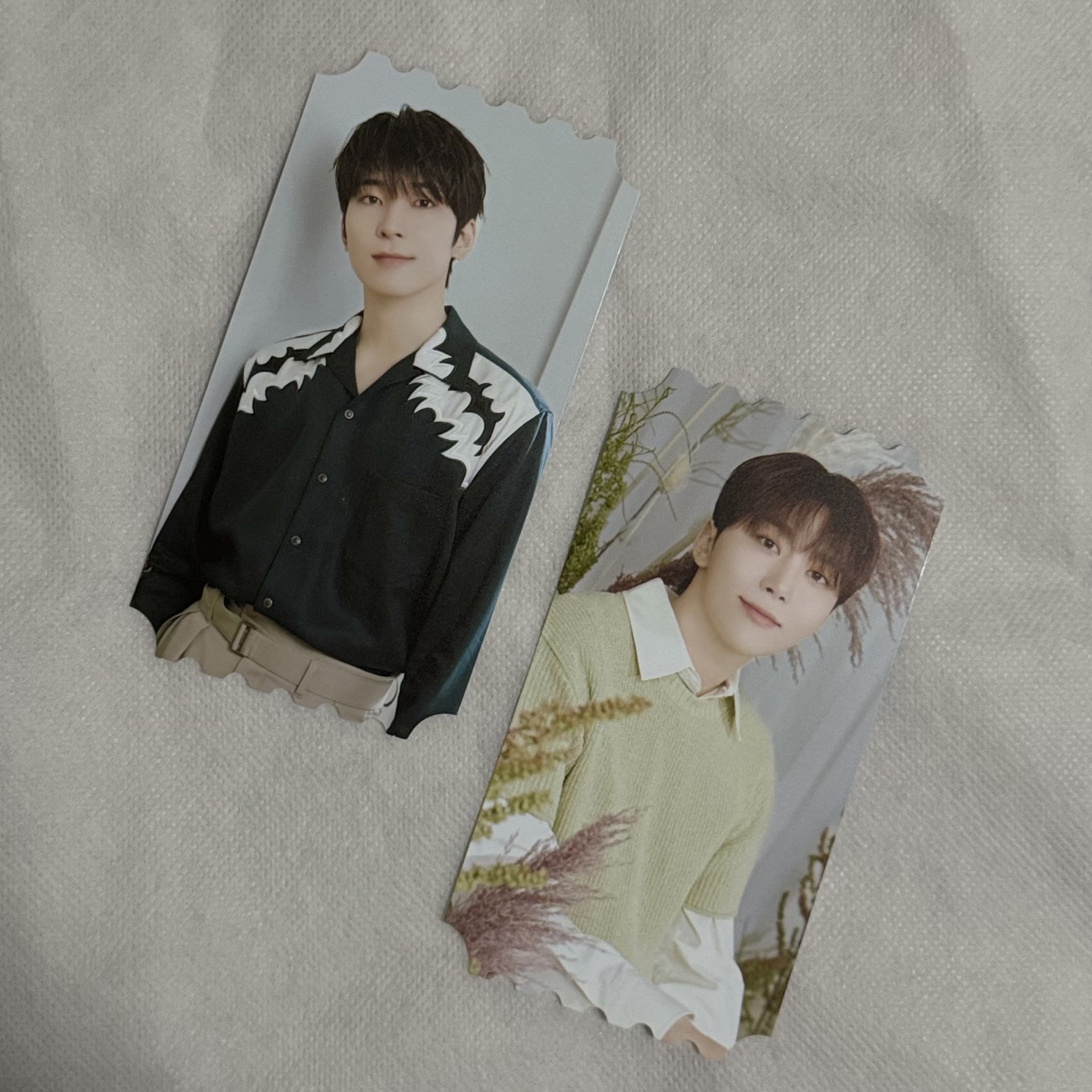 SVT 24’CAFE 入場特典｜圓🐈‍⬛+寛🍊