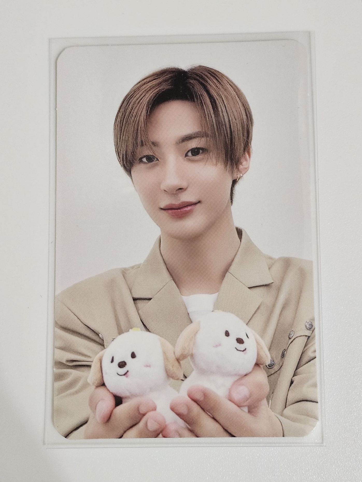 Anton 2024fc 末場 隨機卡 