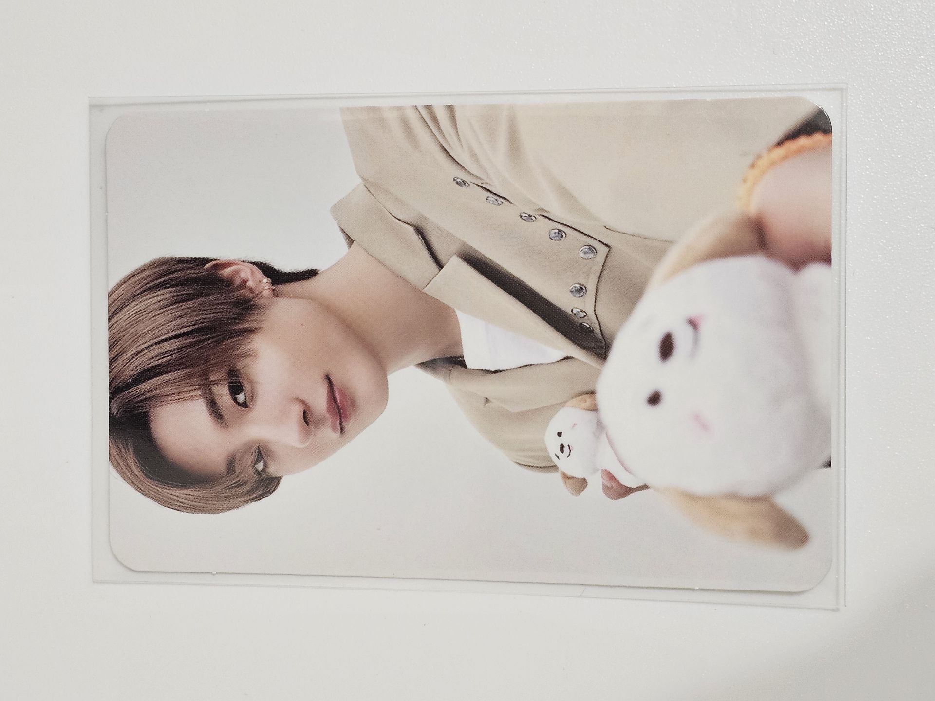 Anton 2024fc 末場 隨機卡 