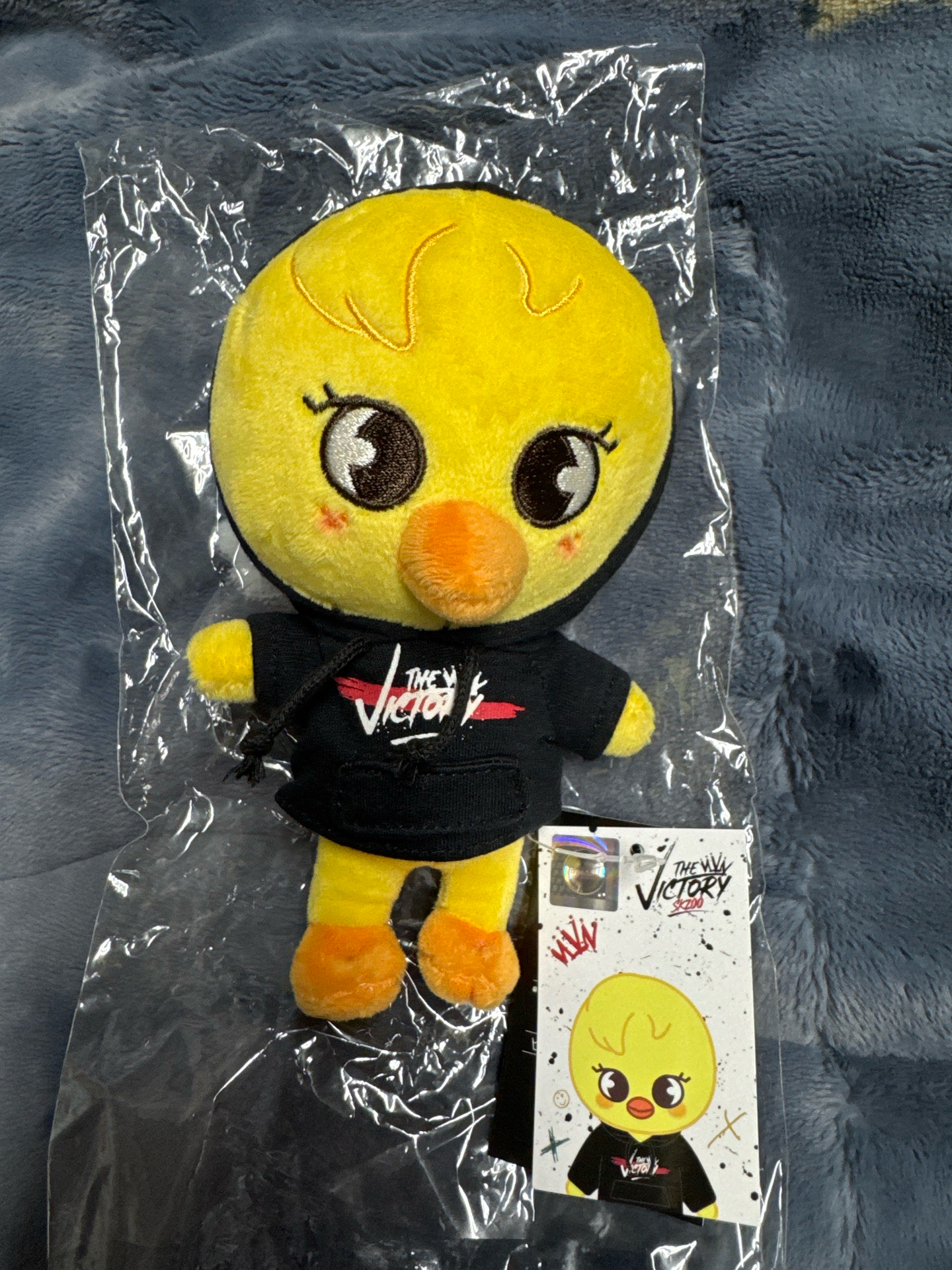 Stray kids The Victory快閃店15公分娃 BbokAri skzoo