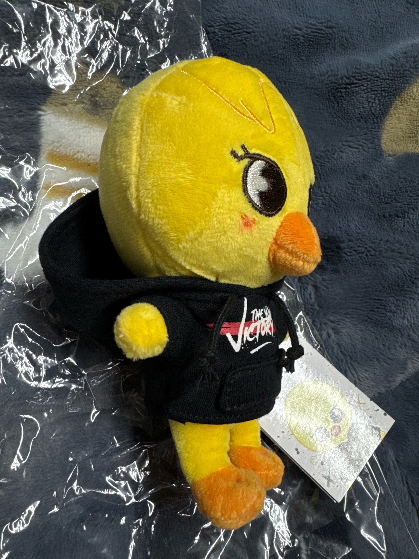 Stray kids The Victory快閃店15公分娃 BbokAri skzoo