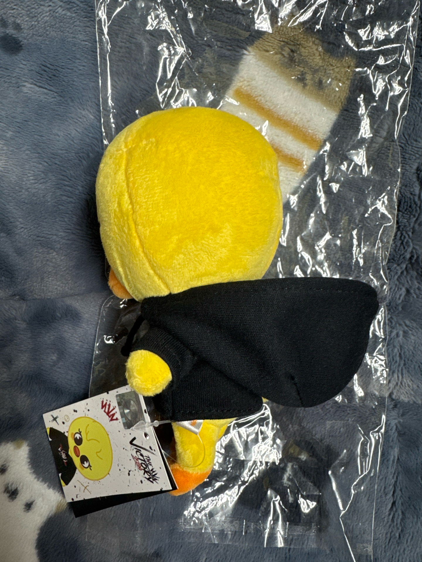 Stray kids The Victory快閃店15公分娃 BbokAri skzoo