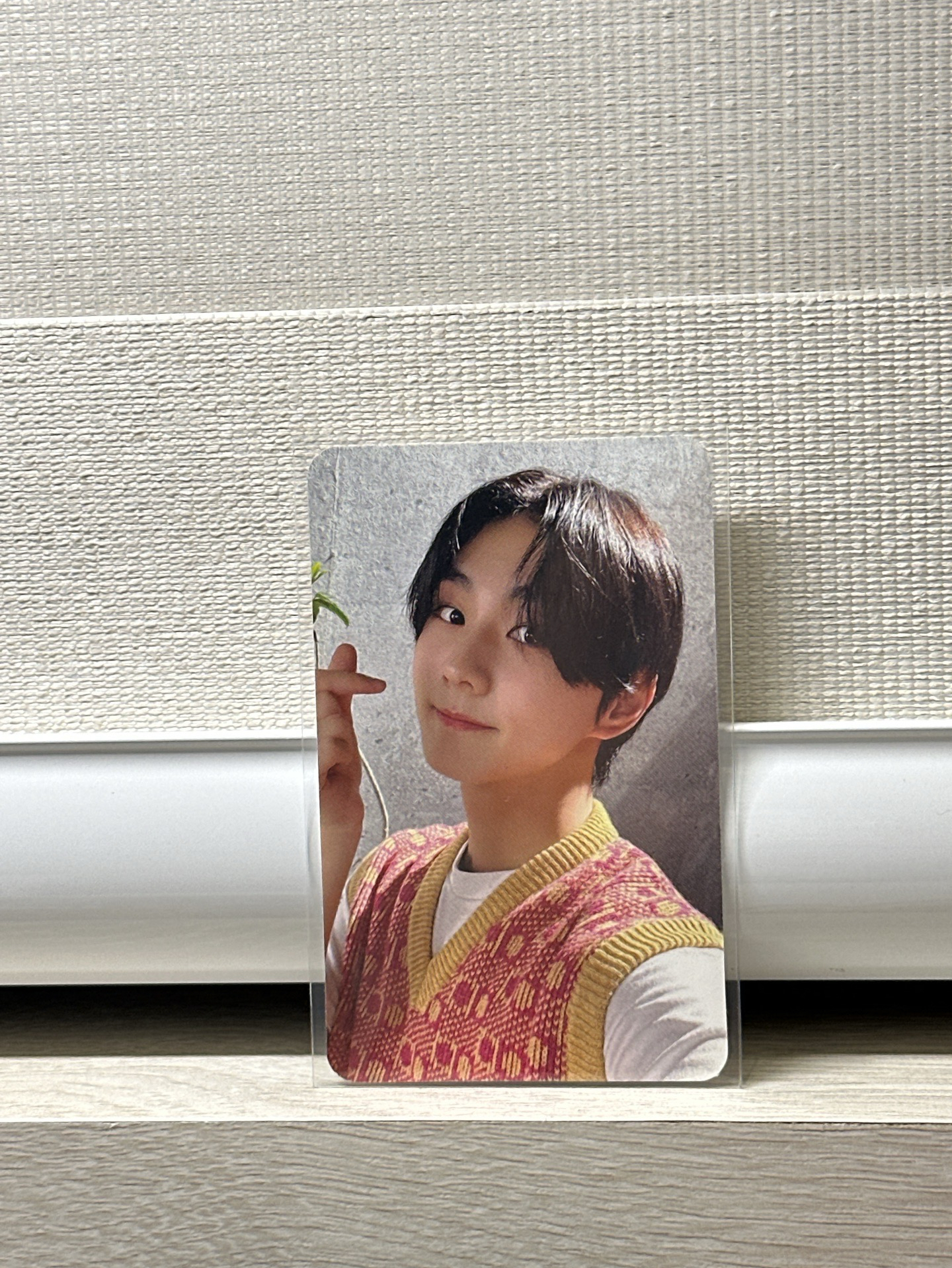 正一蝦皮特典元（不可當綁