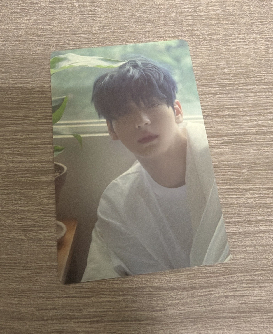 迷七 卡套卡 秀彬