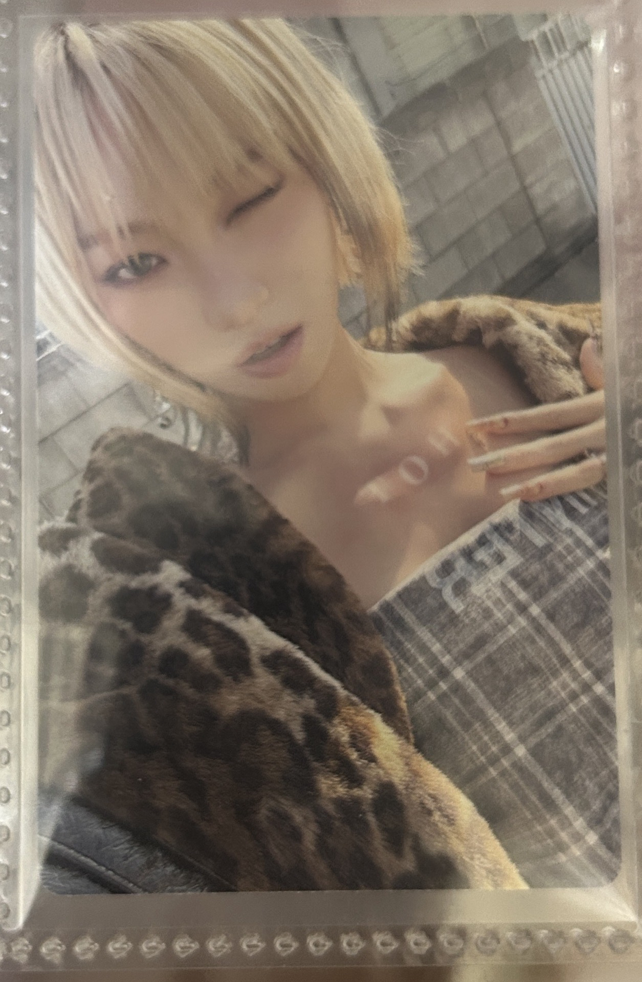 HOT pb 專輯卡 vol.2 (tanned guaiac)