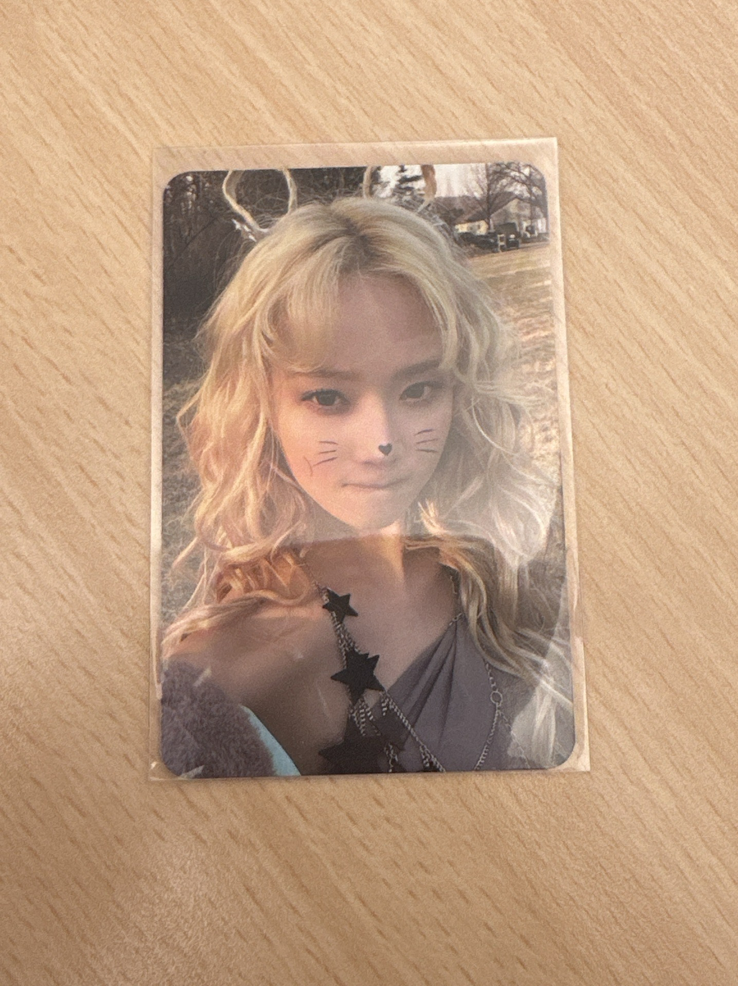 Armageddon 貓咪 冬