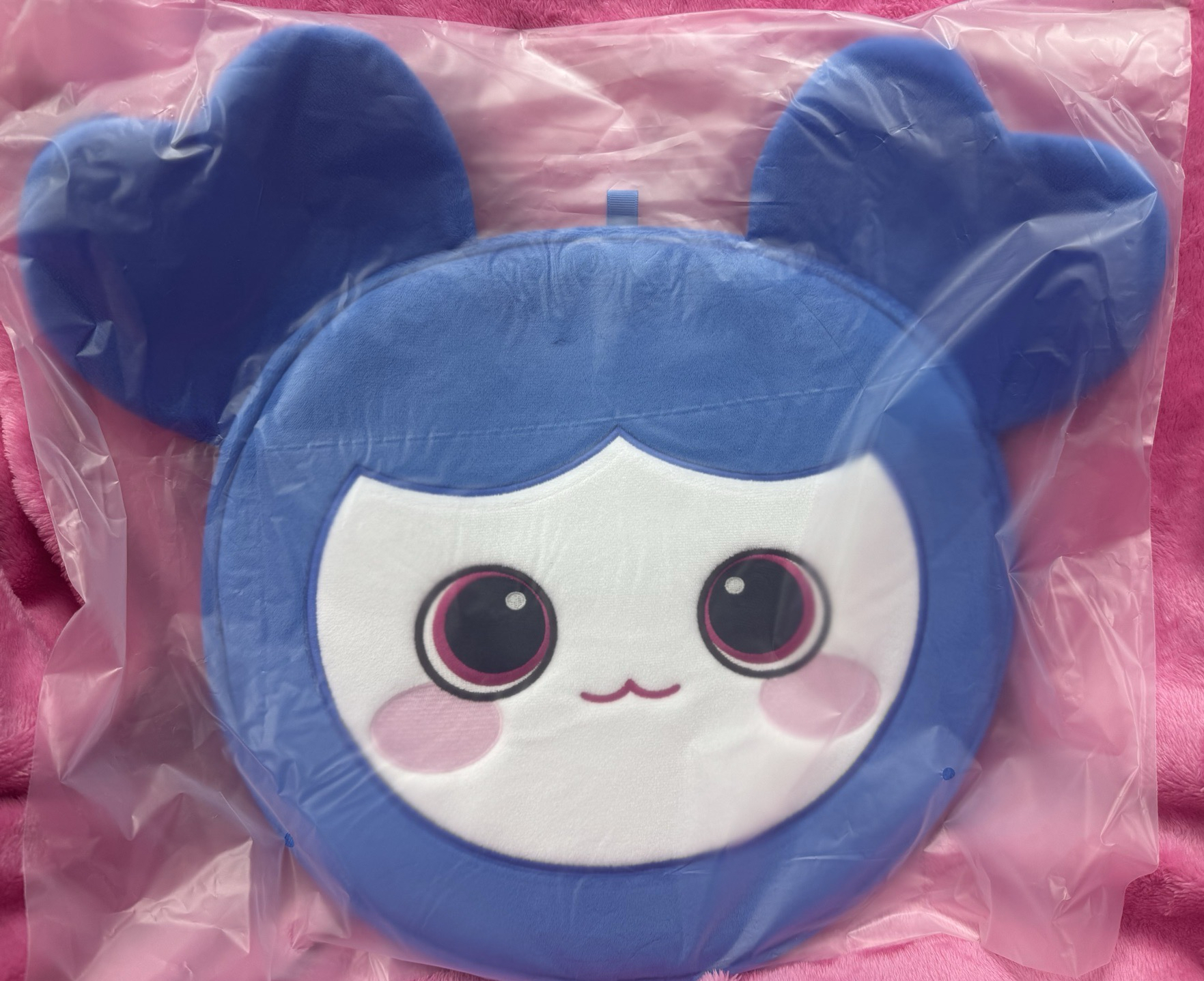 子瑜-大王扇套 全新現貨 TWICE - LOVELYS IMAGE PICKET CASE