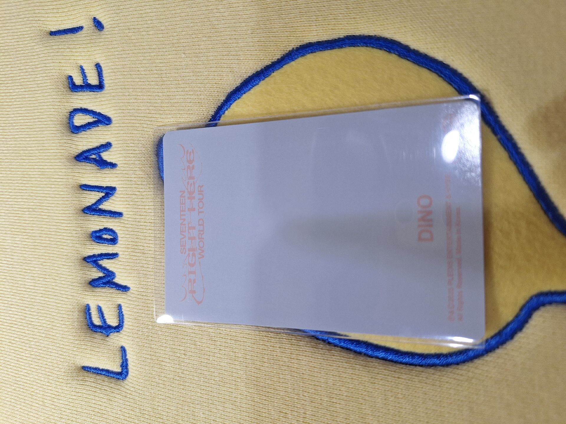 right here world tour dino