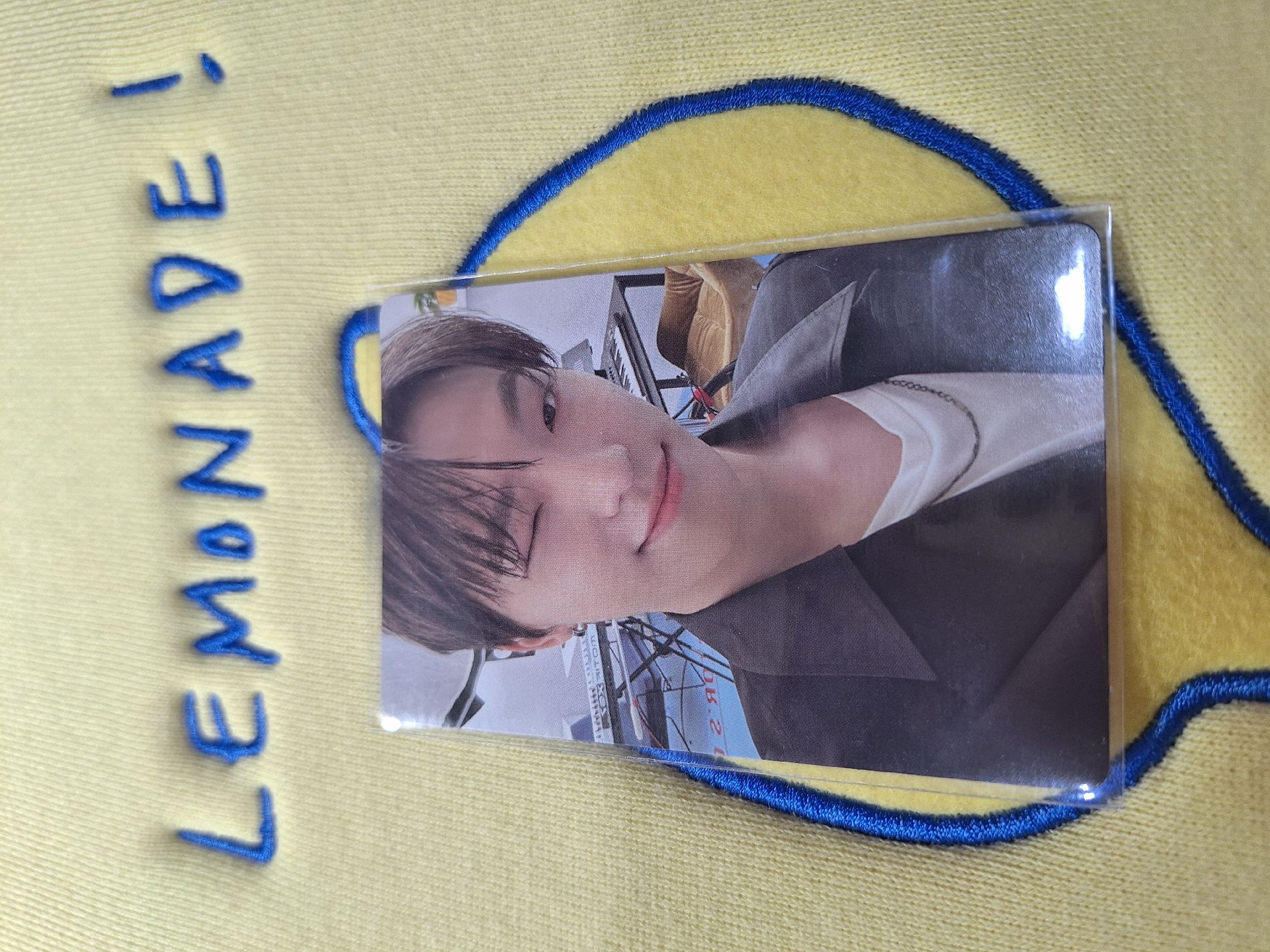 17 is right here dino 燦