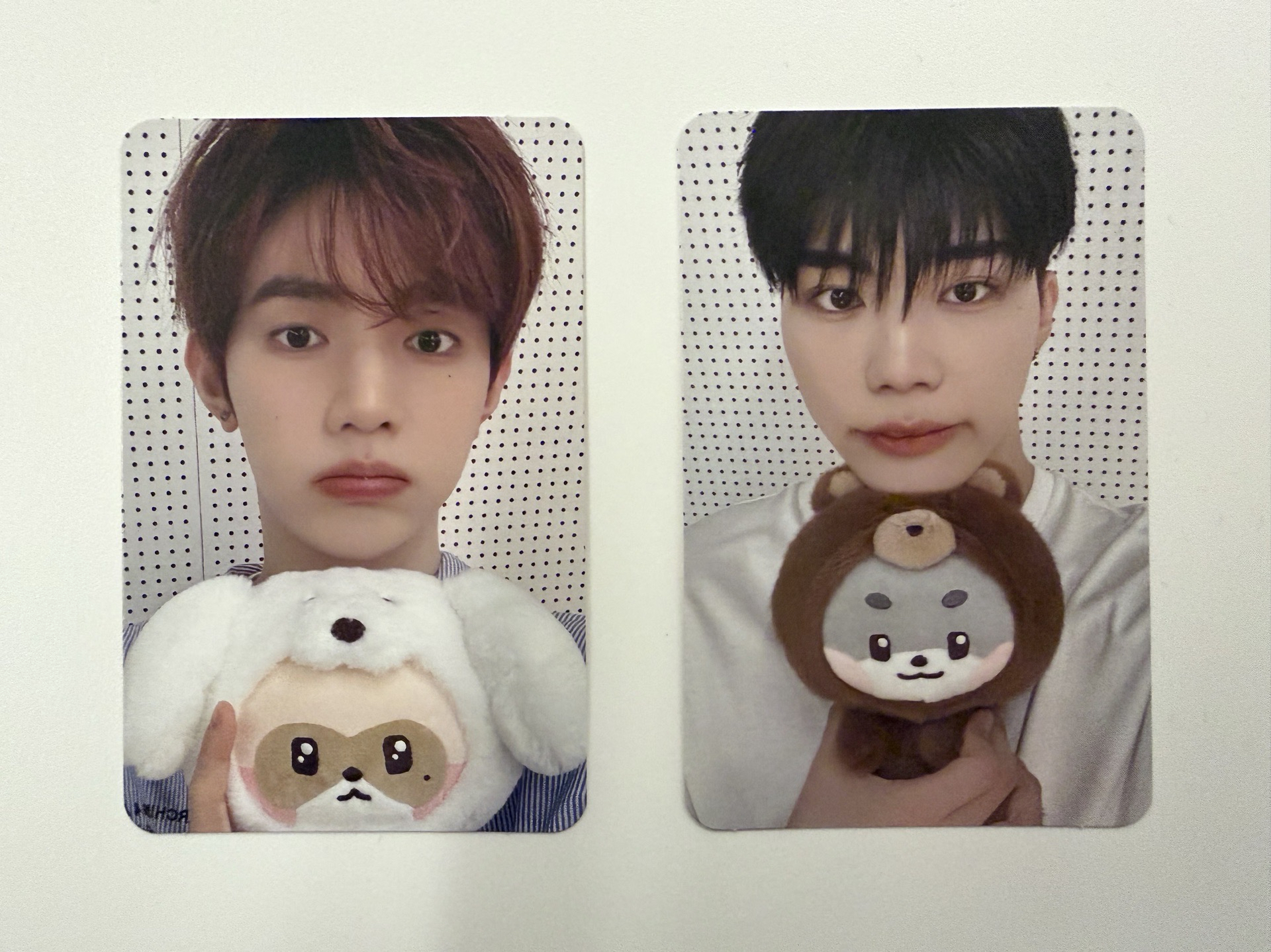 zeroni快閃店滿額卡