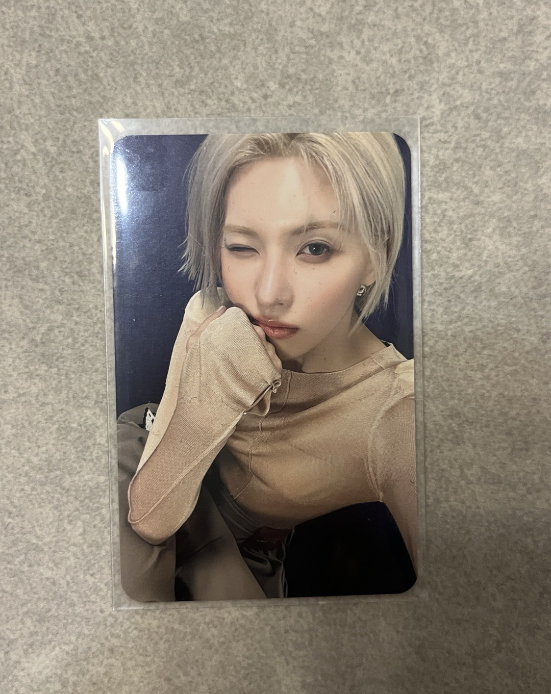 🐦FORWARD 數星星預售 裴