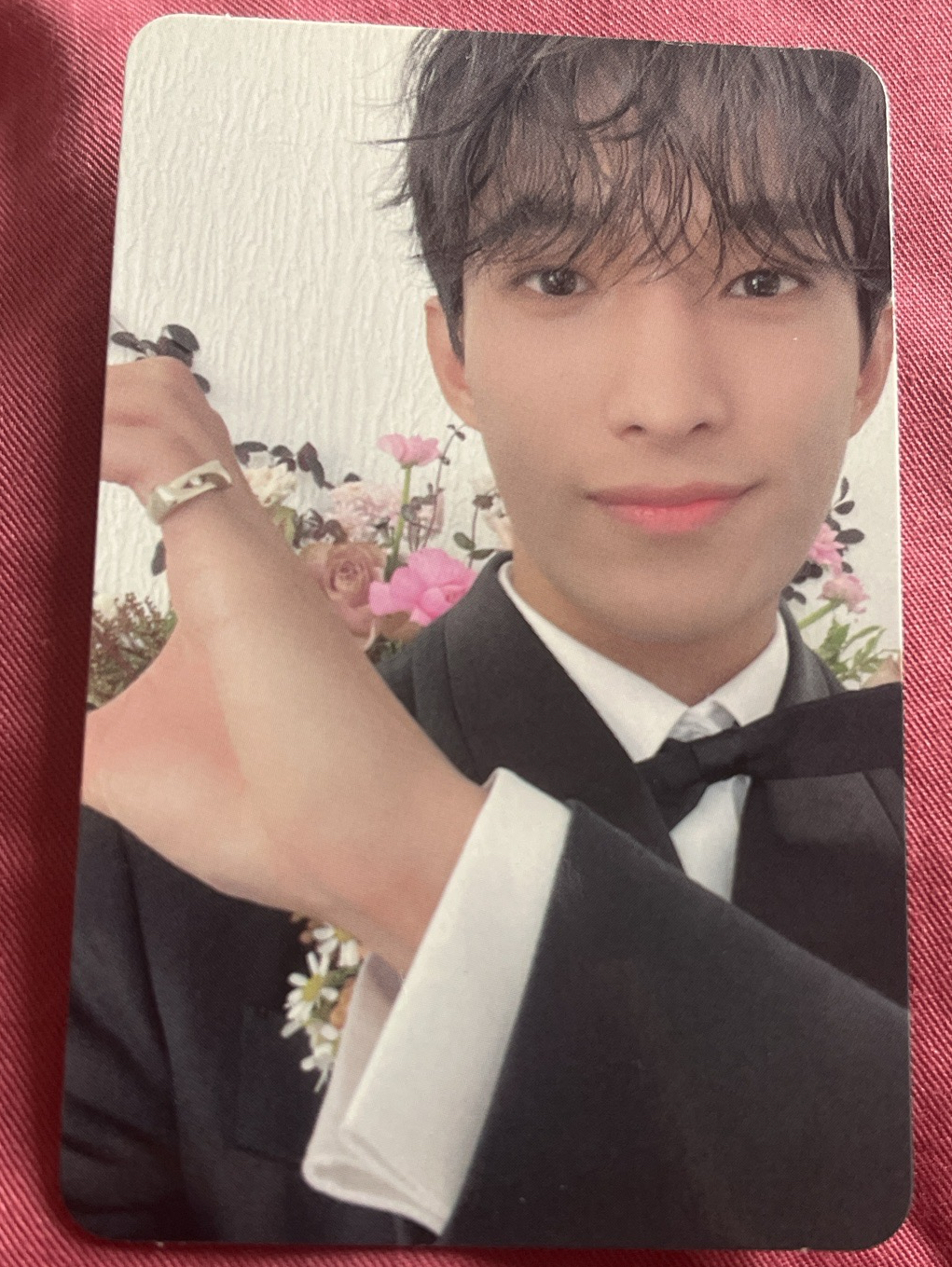 DK🍕迷10 克拉盤 隨機卡