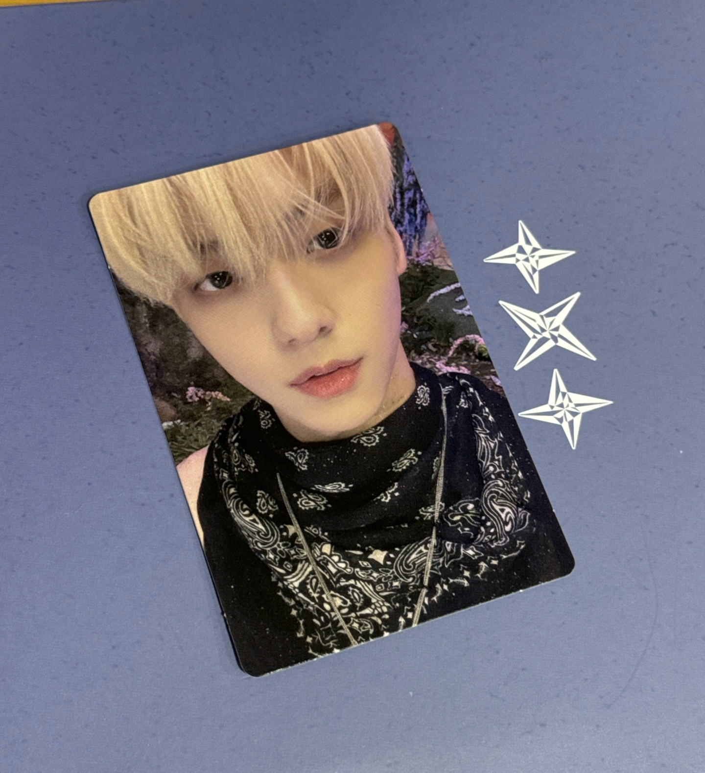 迷五 專輯卡 ver.電子專A