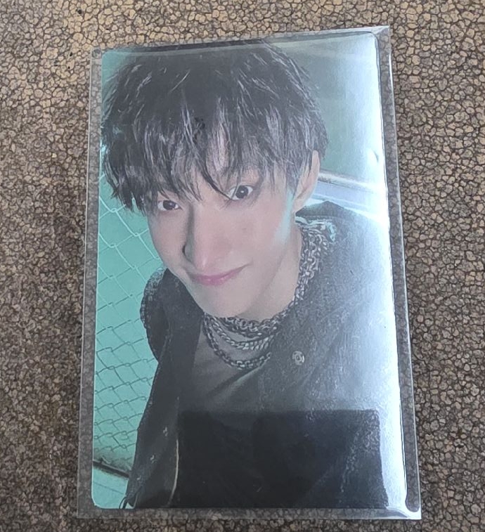 正規五 wvs特典碩