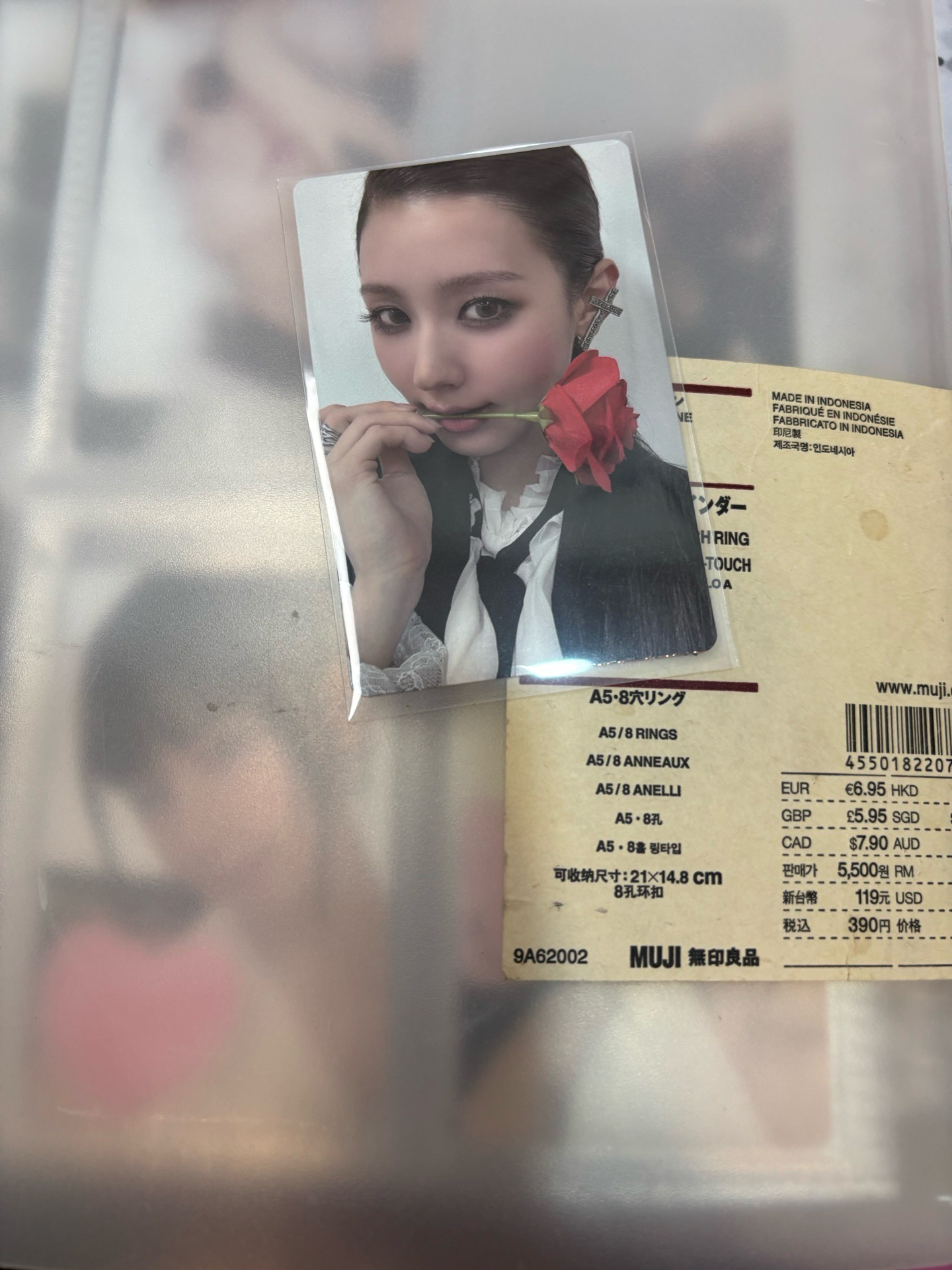 麵lo2專卡 咬玫瑰麵