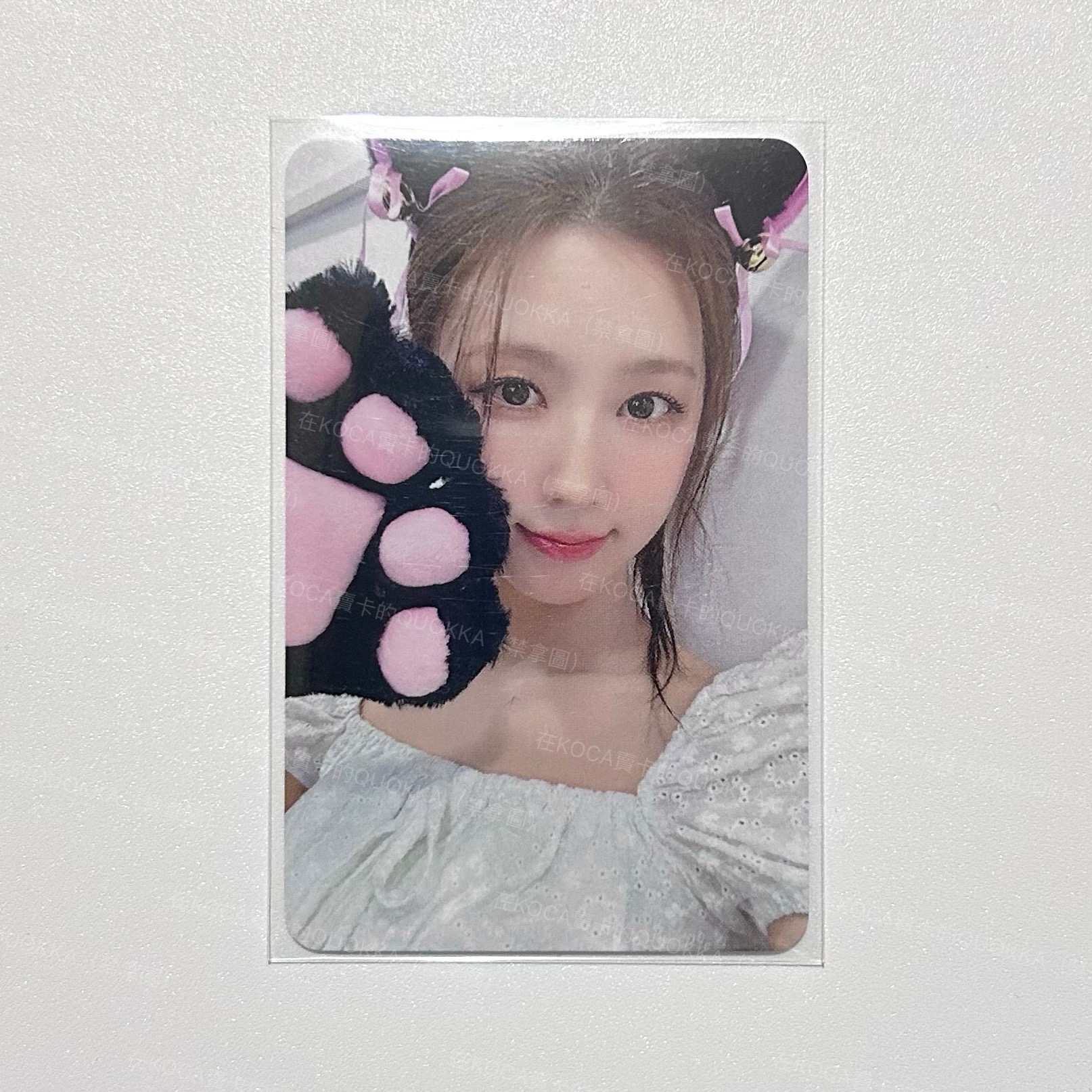 迷八 薇娟 Muvve3.0 貓爪麵