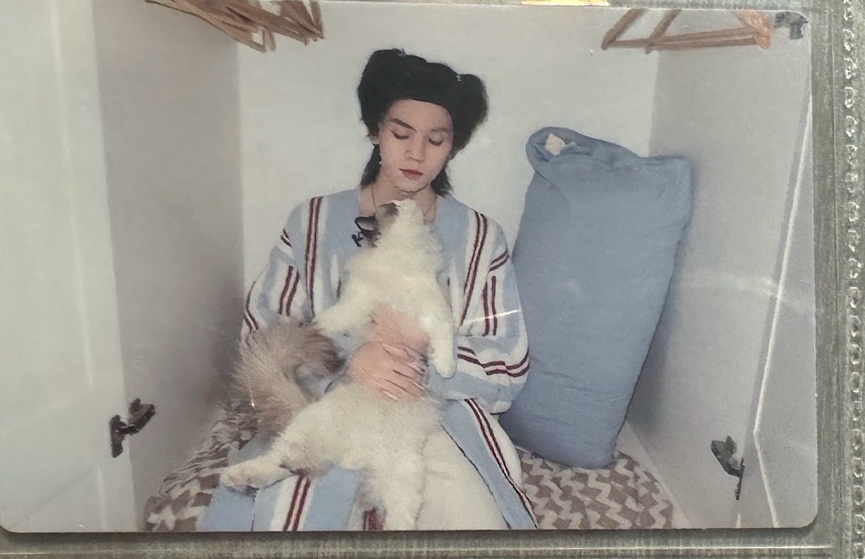 左航異次元抱貓