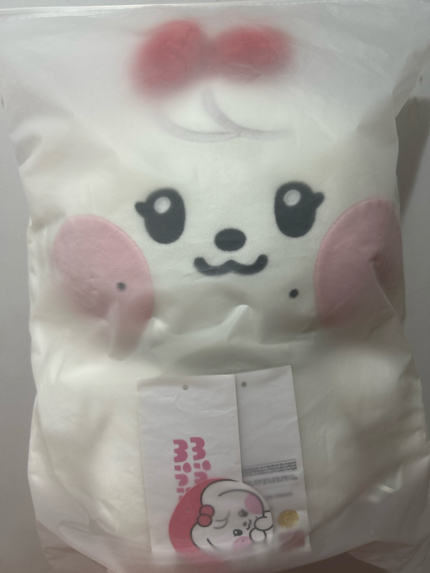 IVE LINE FRIENDS 快閃 員大娃