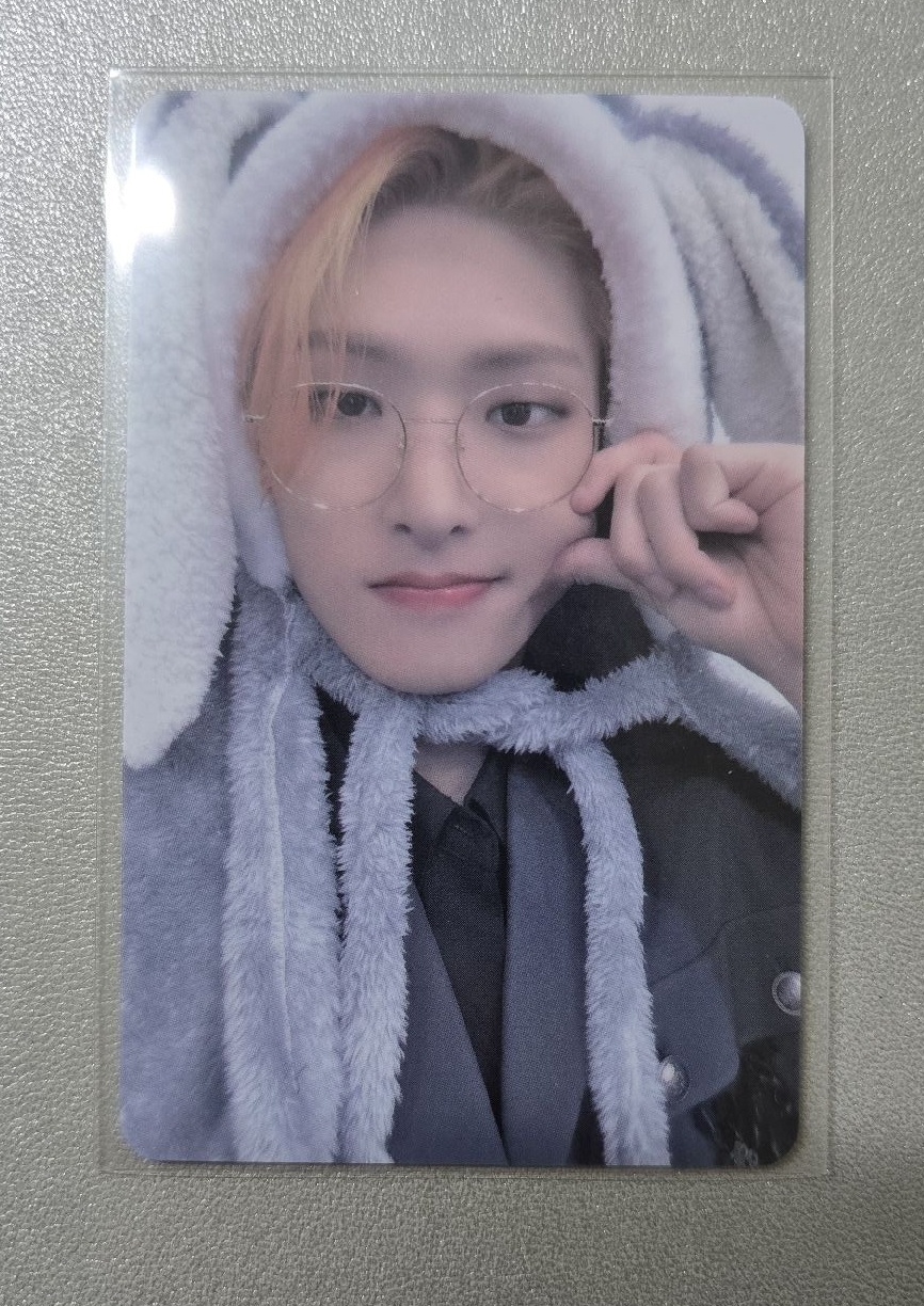 MSLD 灰兔（2500）