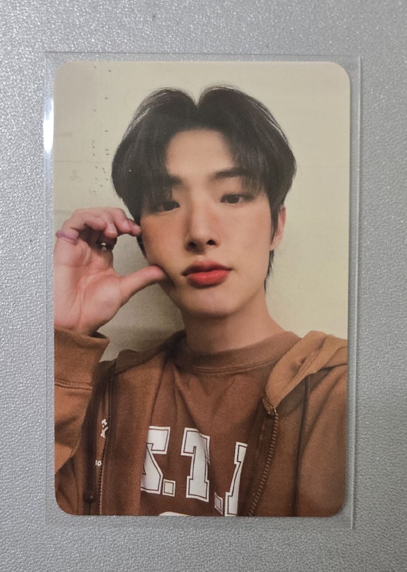 wonderwall 1.2（2500）