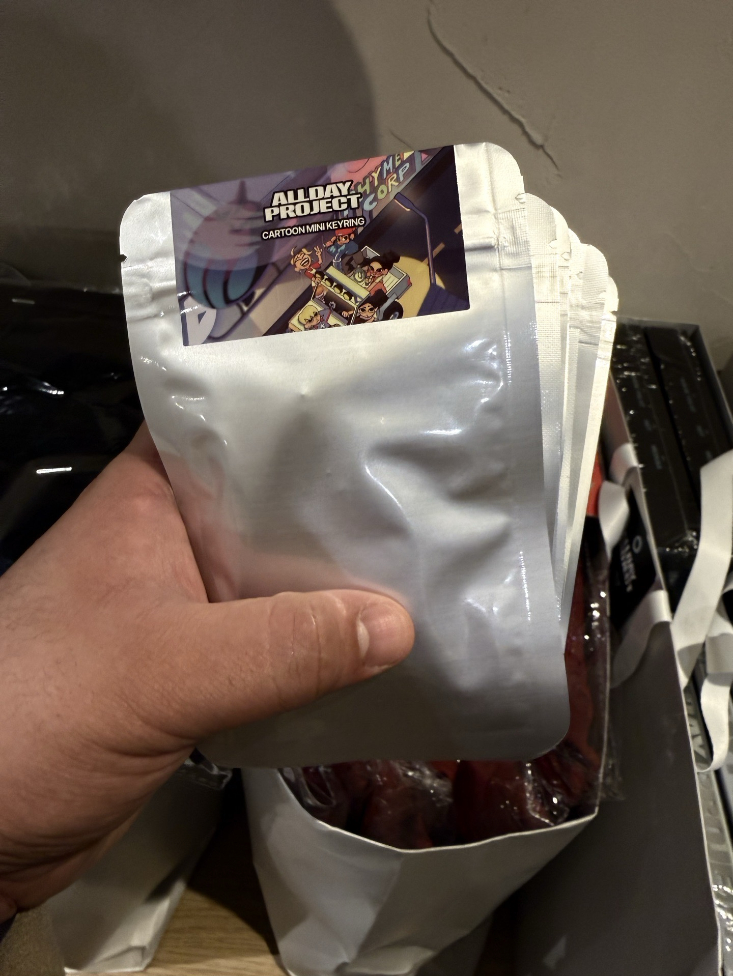 AllDay Project 吊卡鑰匙圈（盲包）