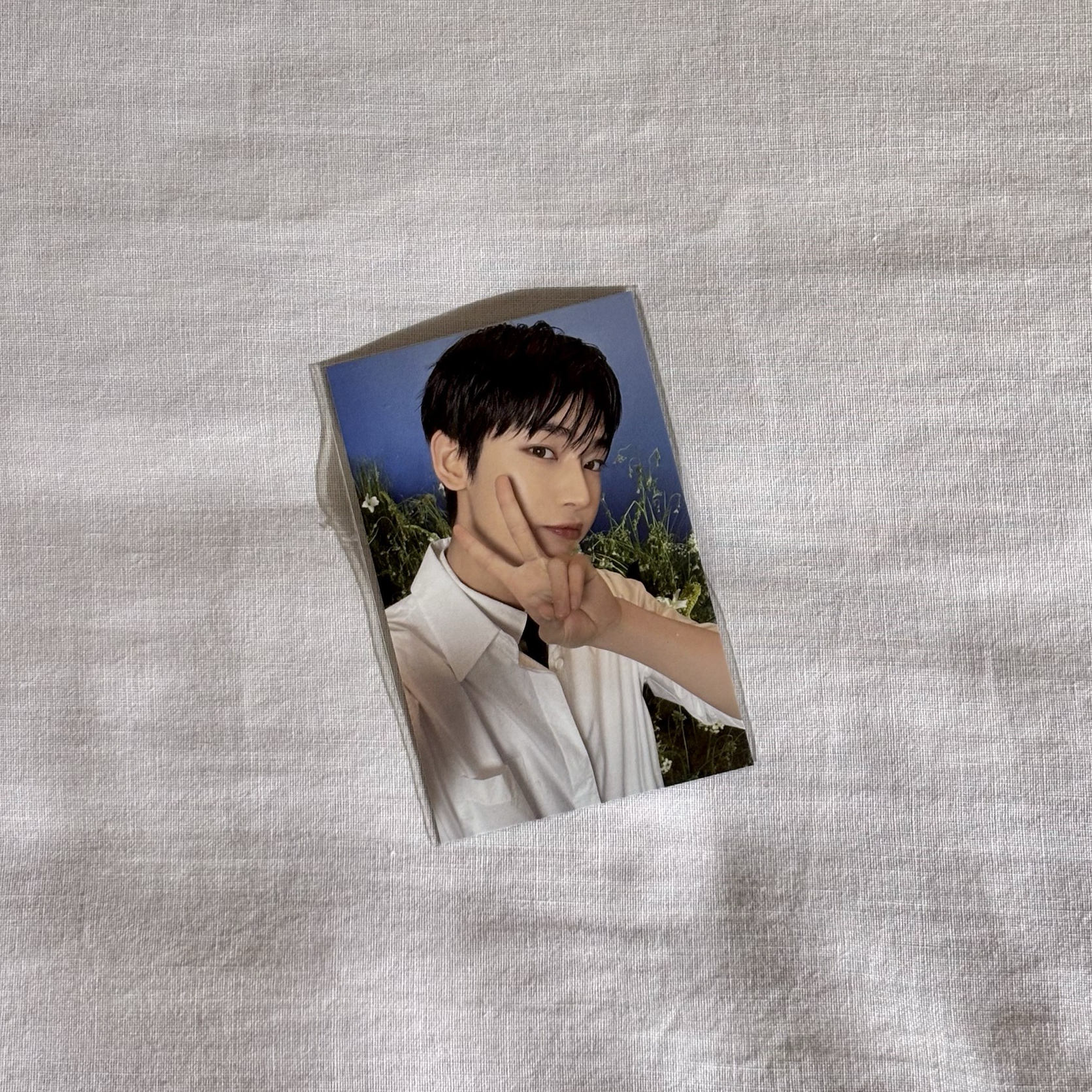 💜禹 wtl 末場滿額卡