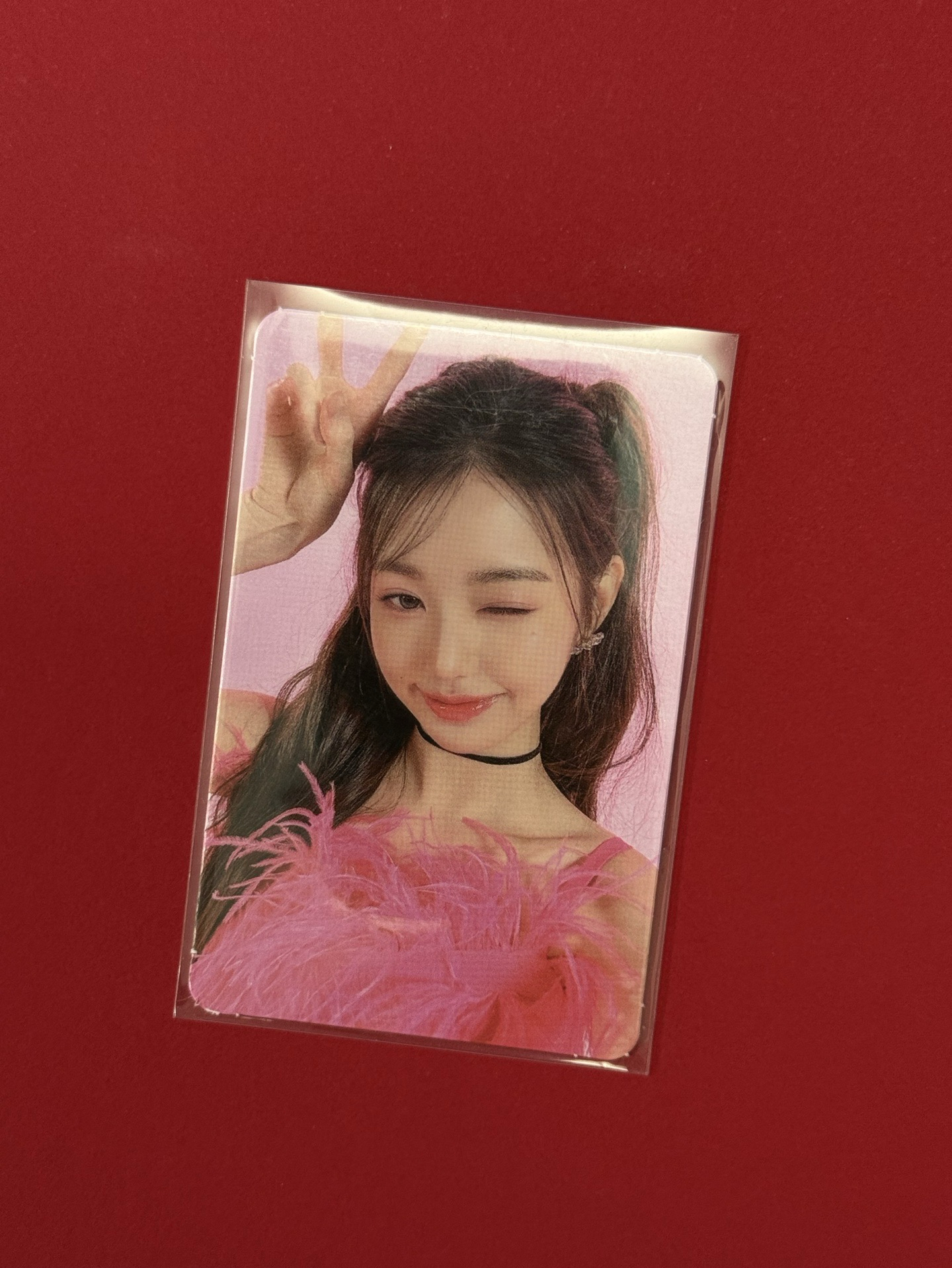 AMUSE 代言卡 1.0 張員瑛