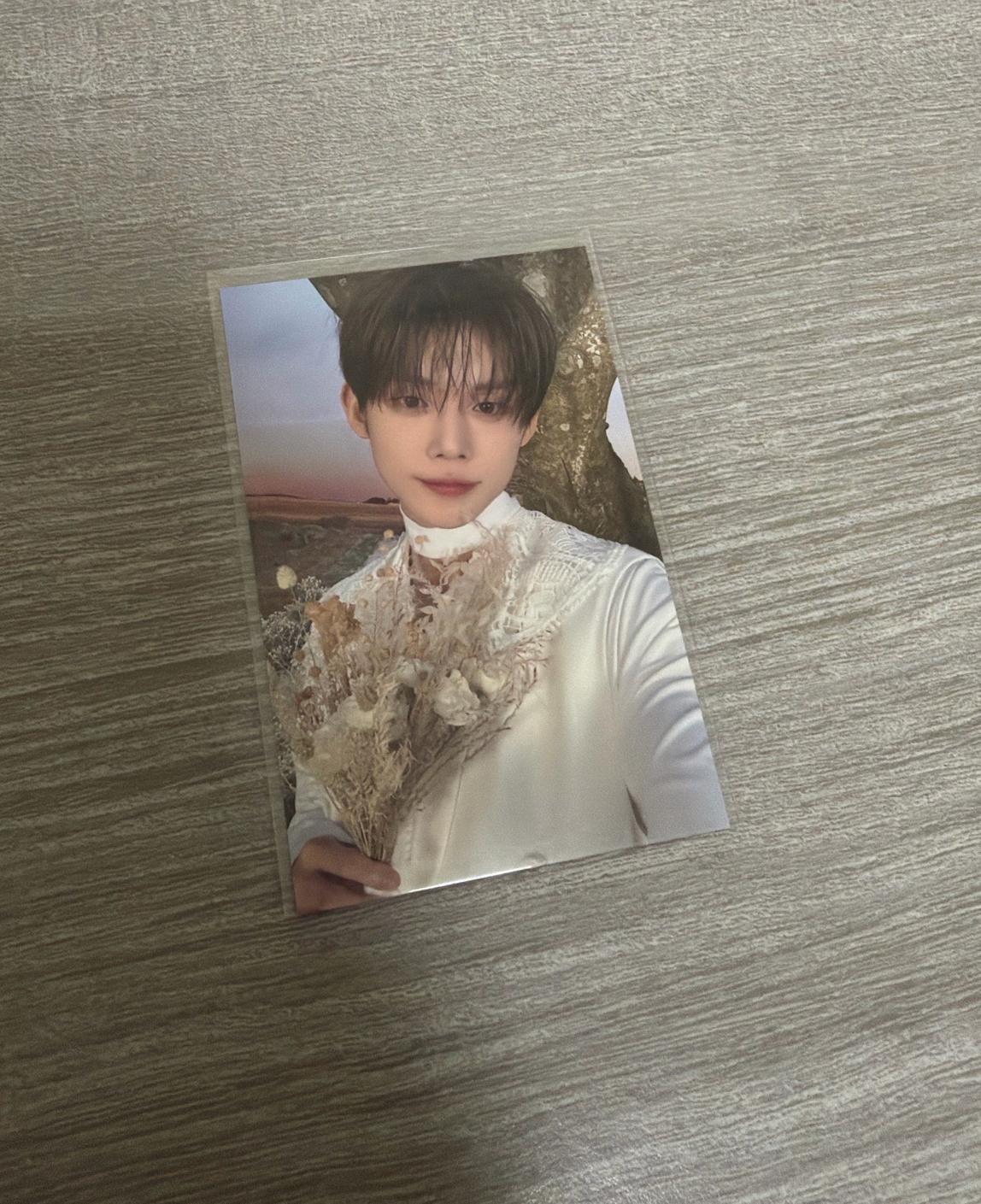 PROMISE zone卡 然竣