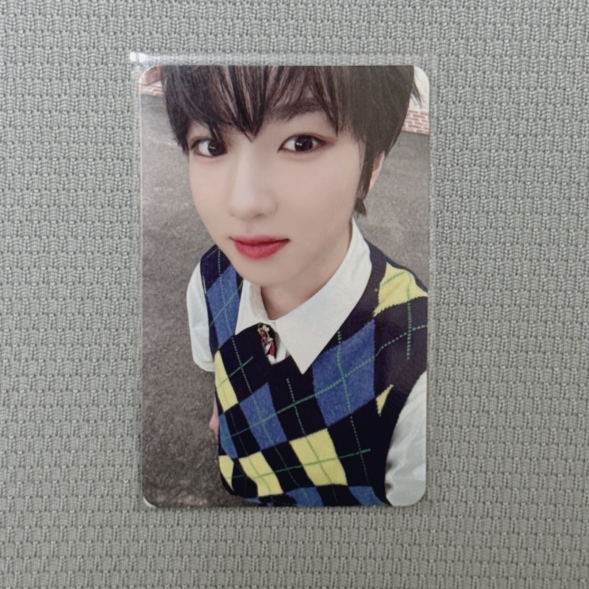 NCT WISH｜Sakuya Songbird MS預售卡