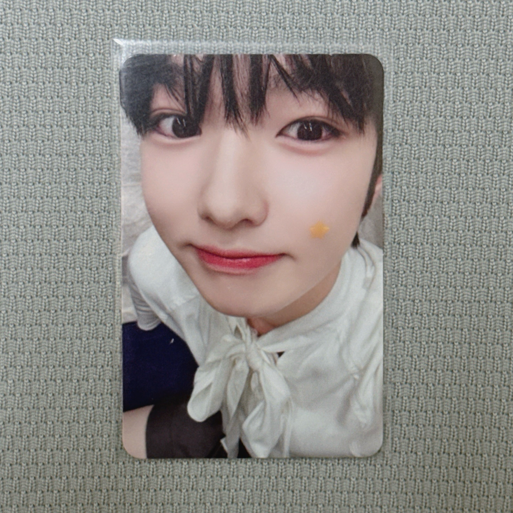 NCT WISH｜Sakuya Steady快閃 外套卡