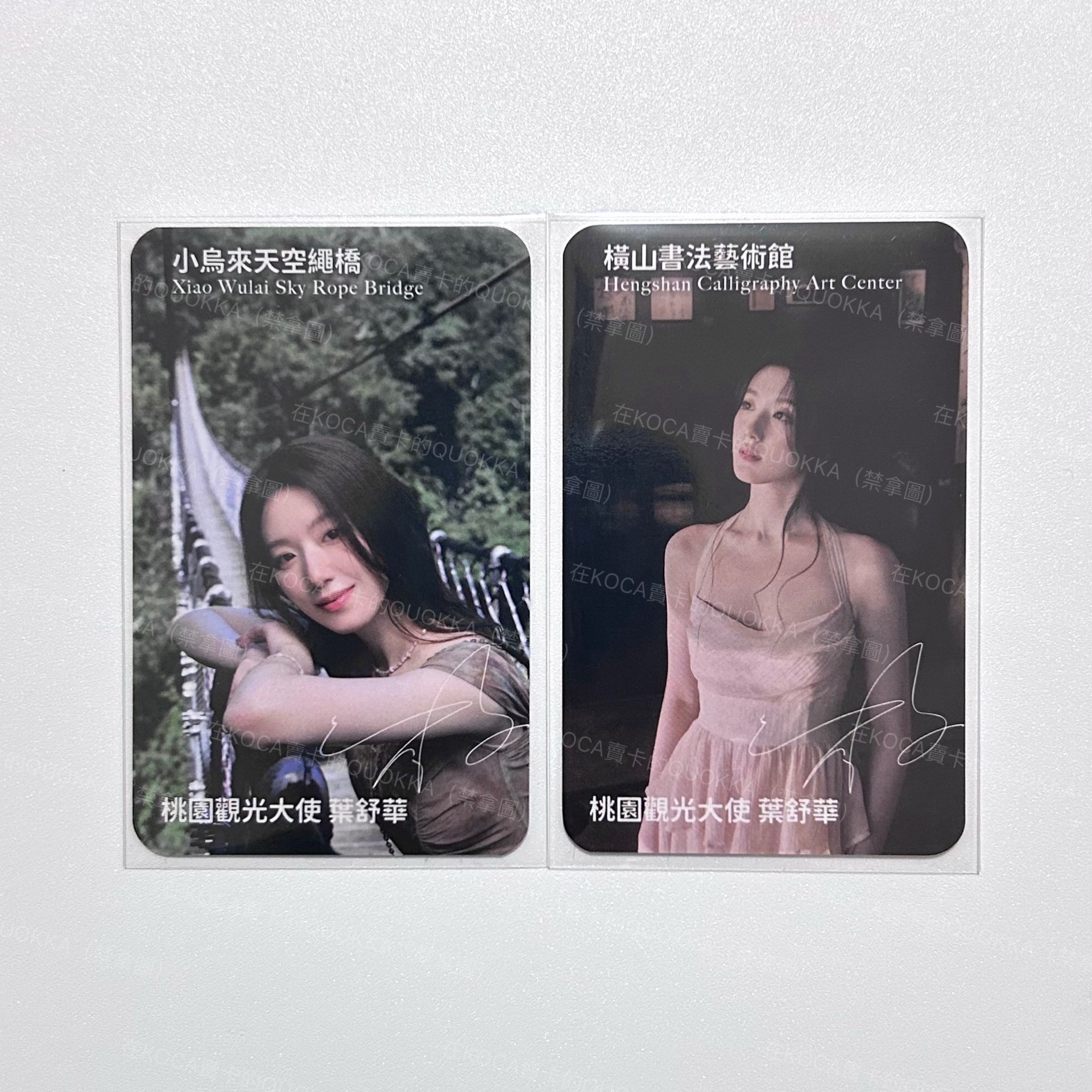 舒華 桃園觀光大使 代言卡 一組兩張