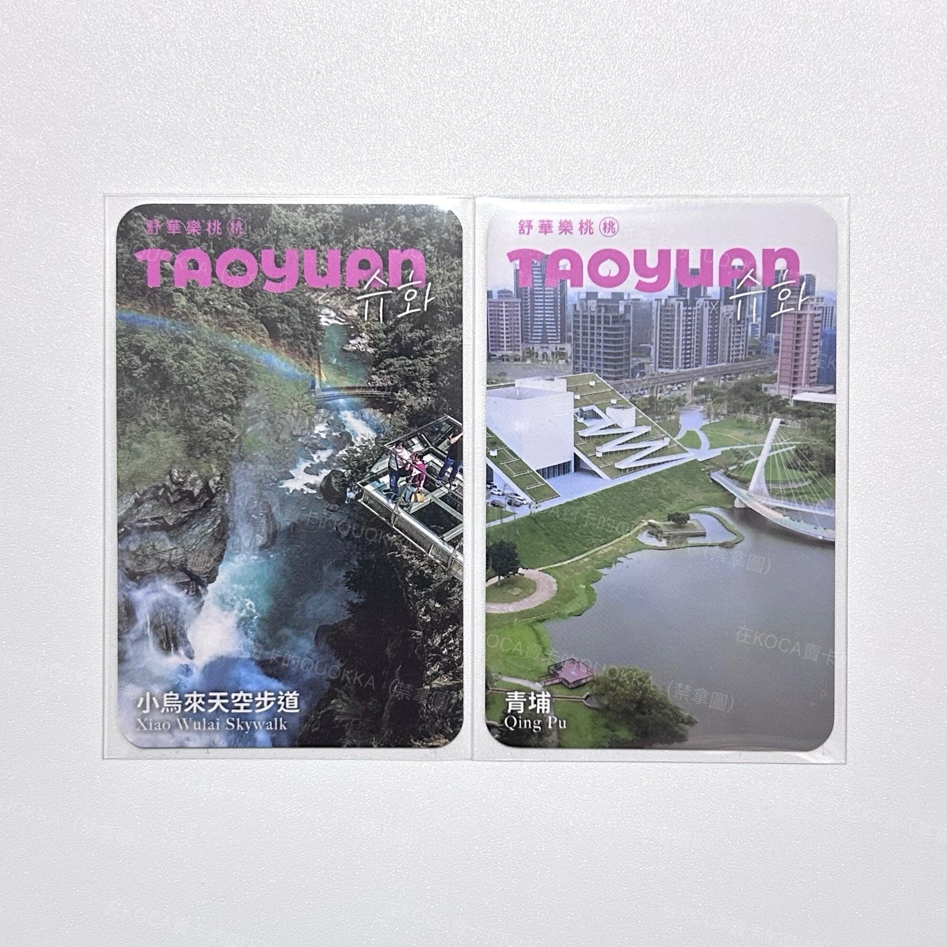 舒華 桃園觀光大使 代言卡 一組兩張