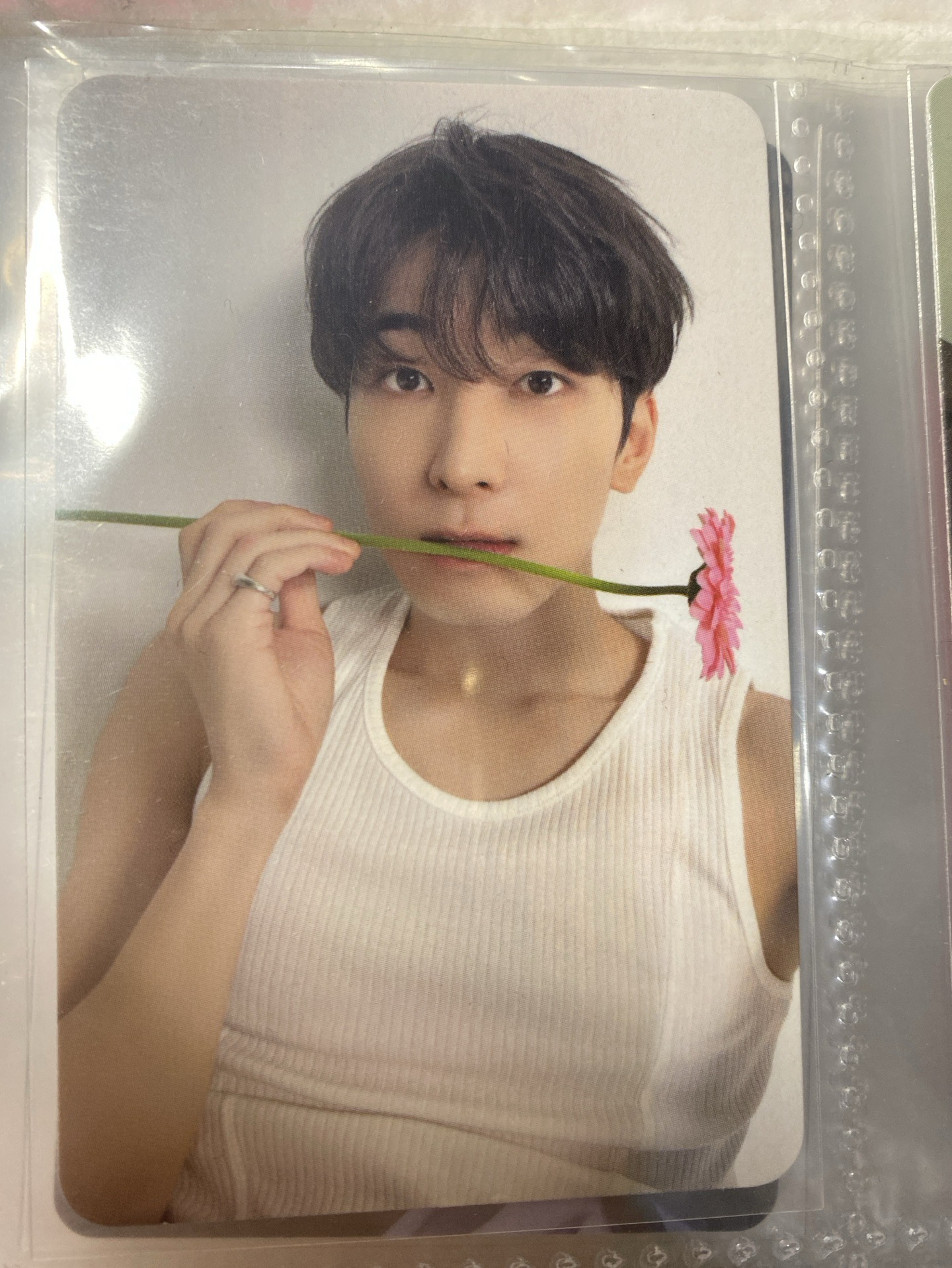 圓佑親愛盤專卡