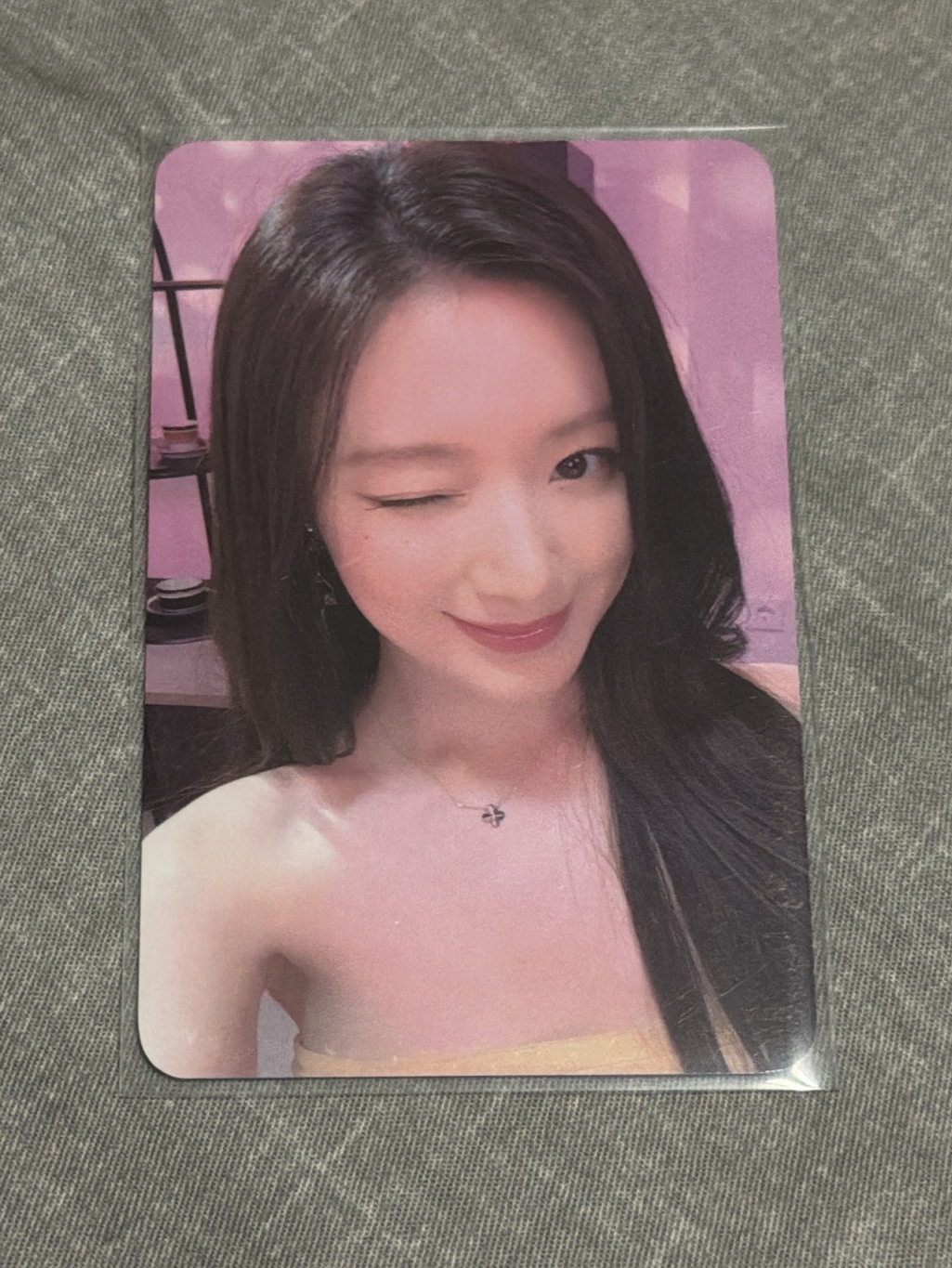 Dingo直播卡 舒華