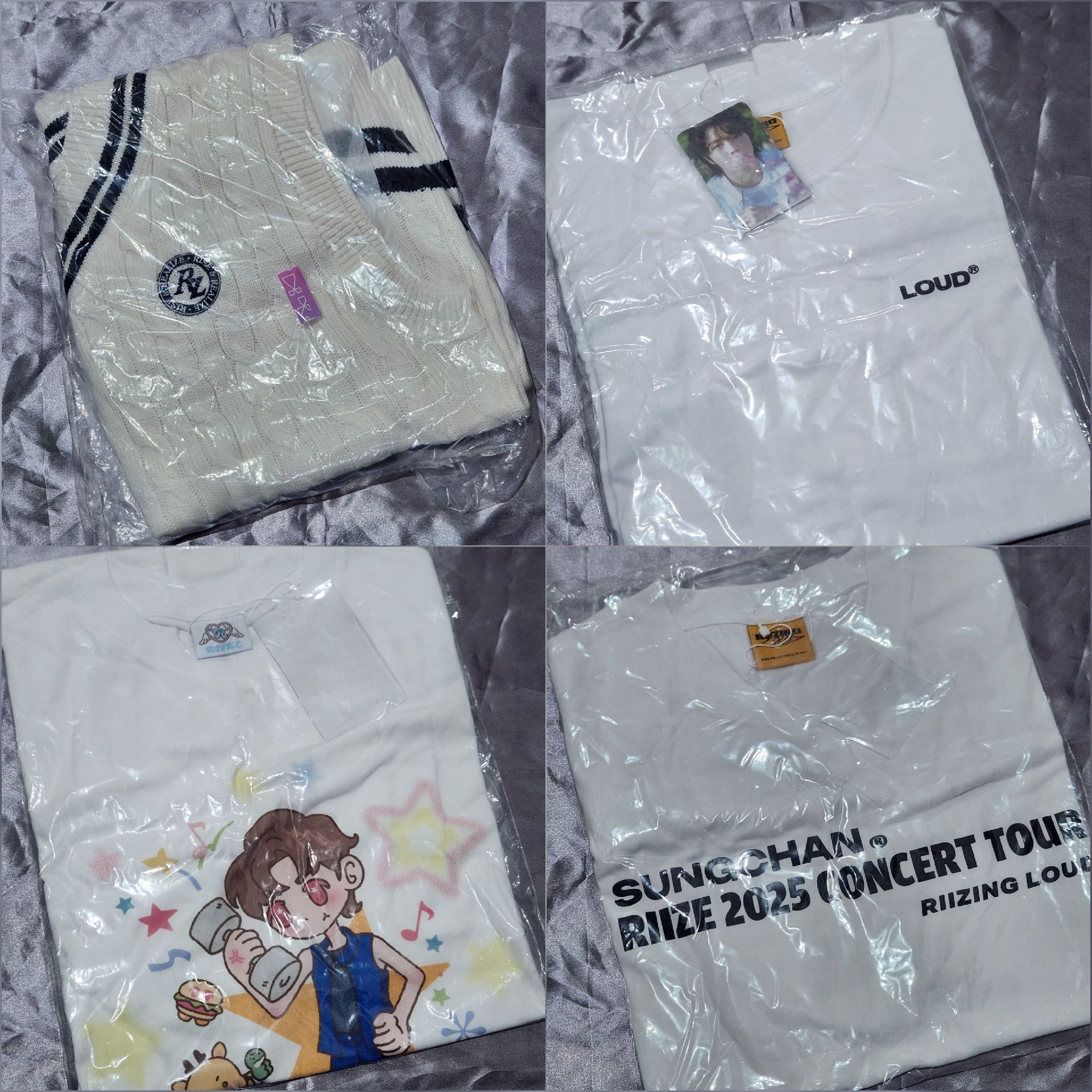 成燦 HUG背心/演唱會T恤