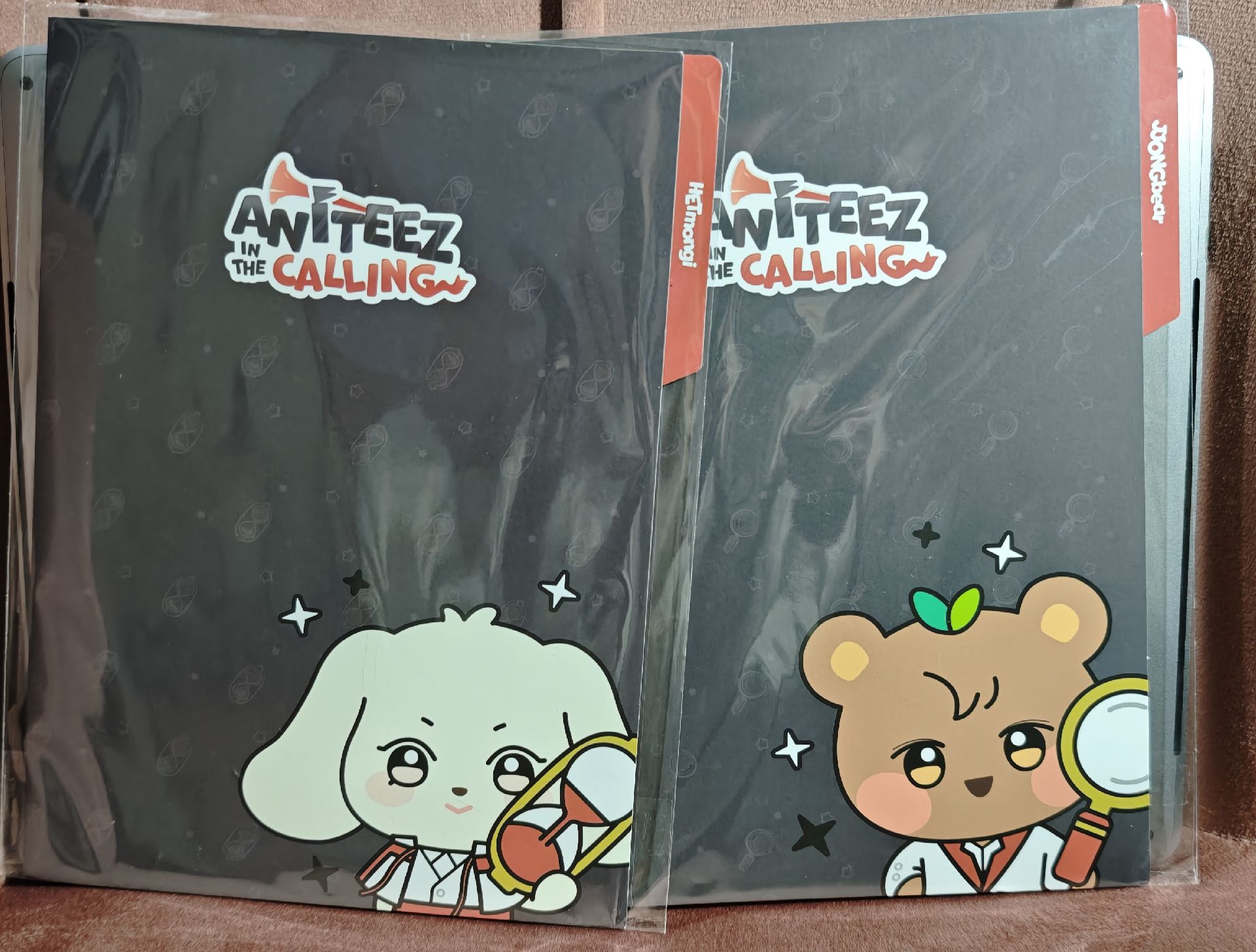 🚩ANITEEZ IN CALLING 🚩小動物個人檔案🐻鍾+尚🌼兩個合售