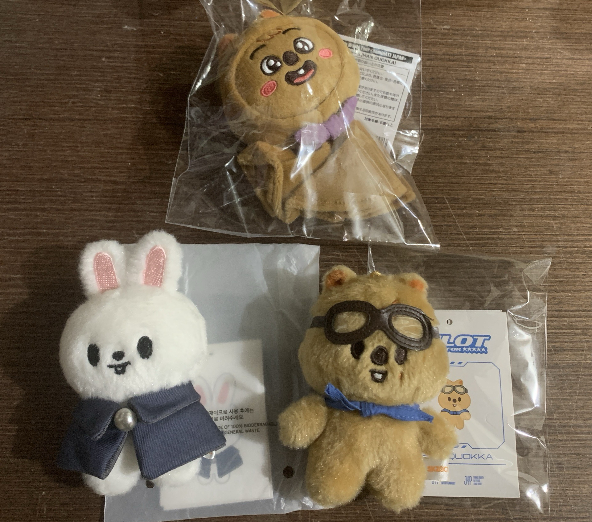 魔法 飛行 晴天娃