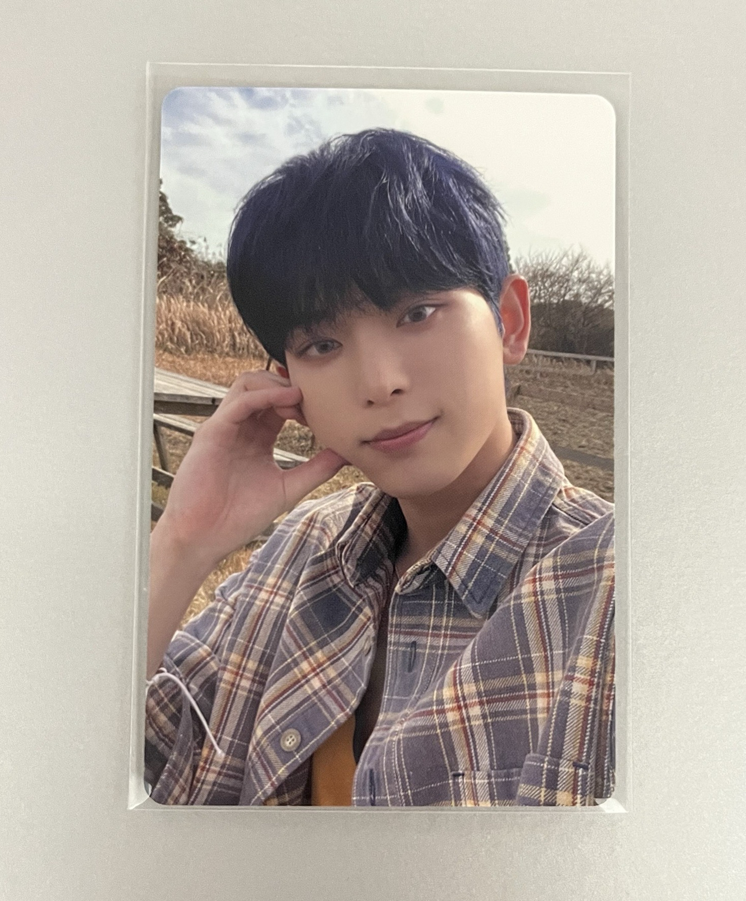 WE 初回限定A 專輯卡 HARUA