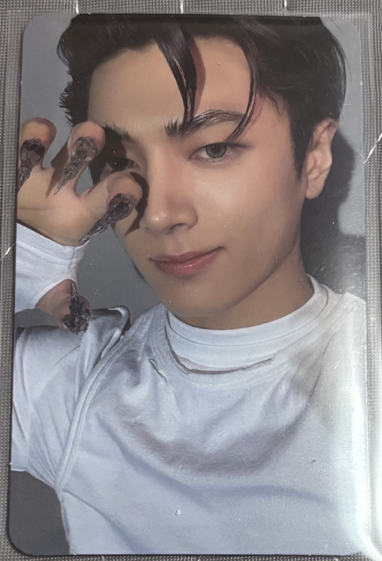 朴粽星迷六專卡