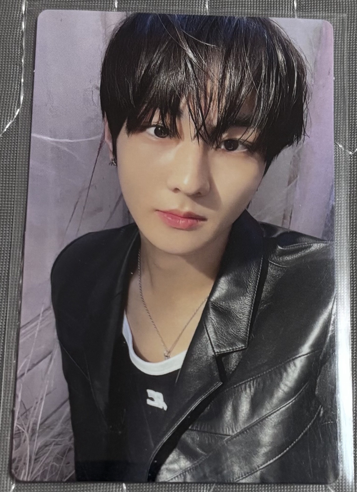 梁禎元日專小卡