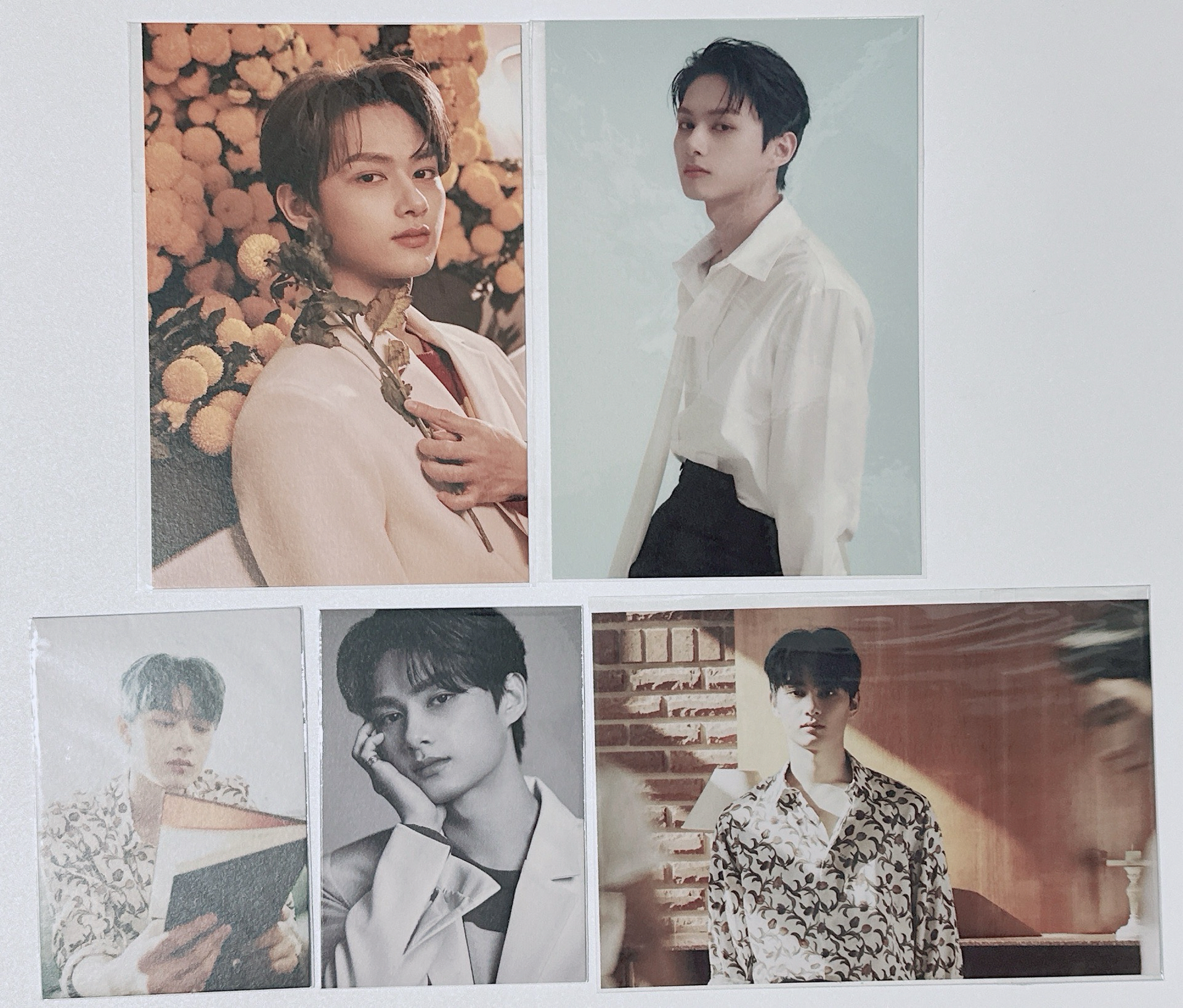 迷八明信片組-俊