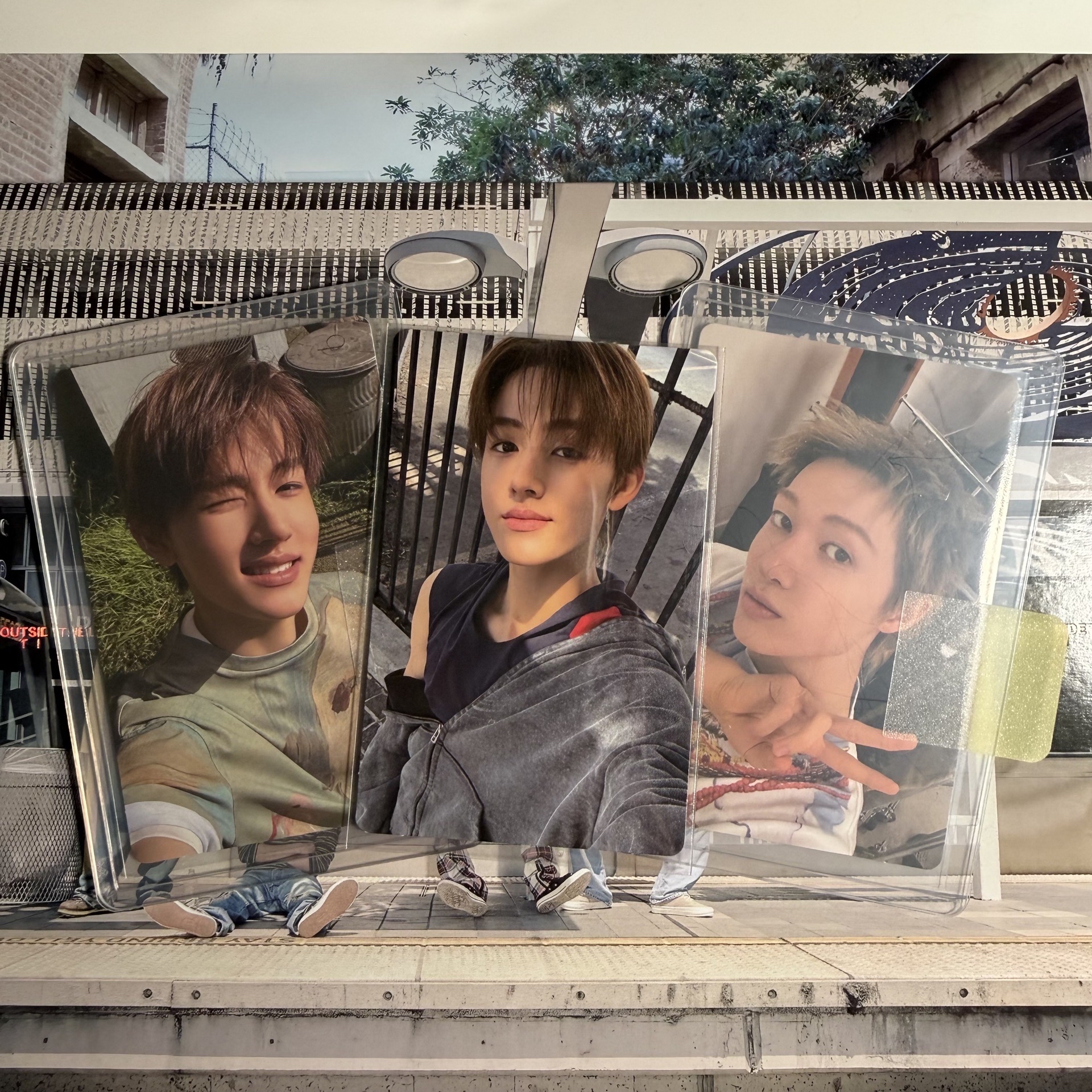 S1,S3全專+黑膠玹