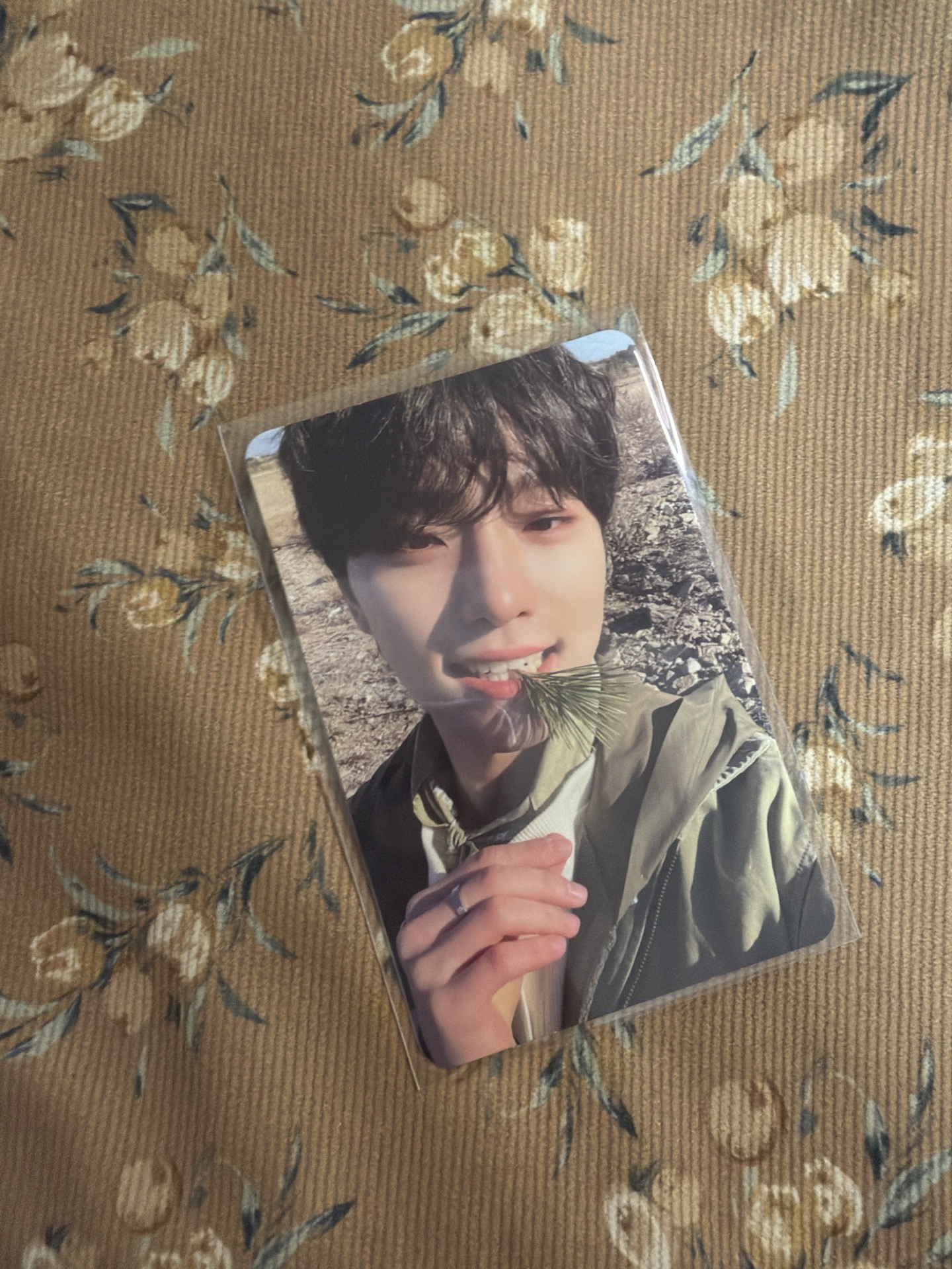 正四 專輯卡 正規四｜Ep4 ver. 燦