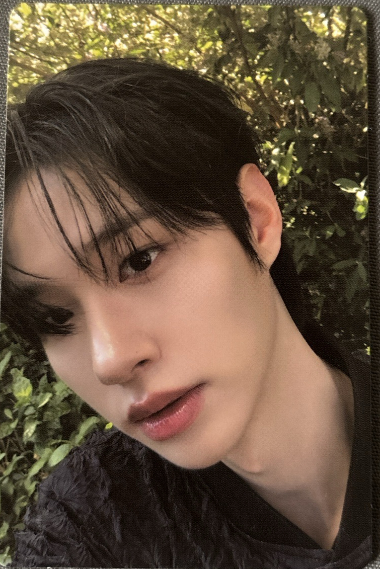 CYE 專卡就這麼好看了媽呀