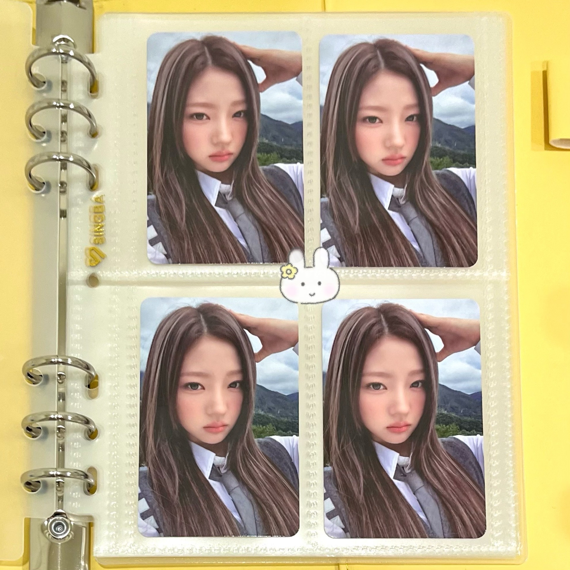 Stella 四宮格🐶