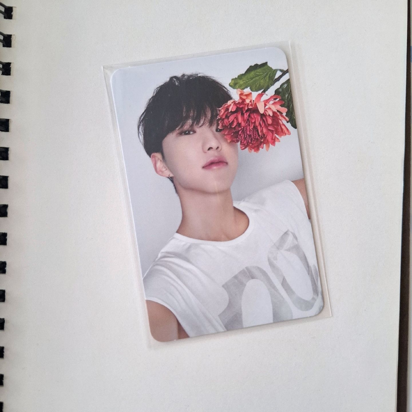 svt榮精選專克拉盤專卡