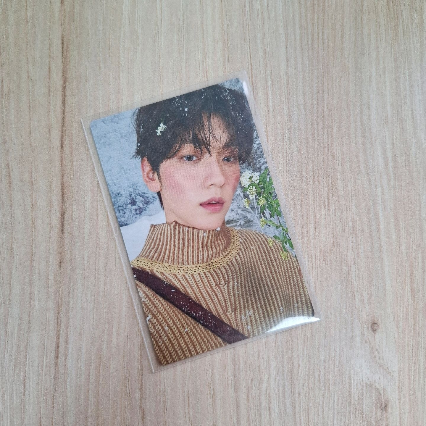 txt誓い專卡秀彬